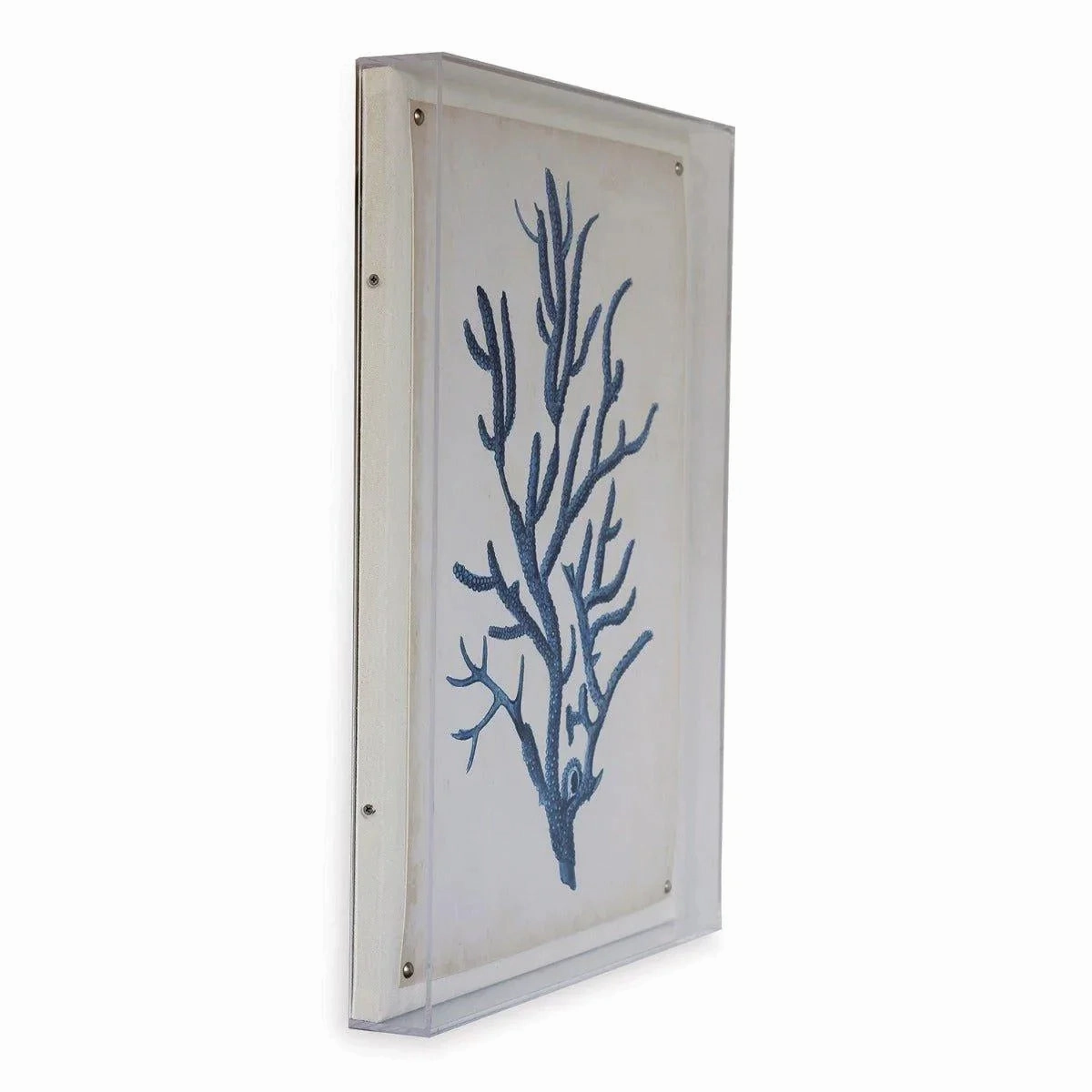 Blue Coral IV Giclee Print in Lucite Shadow Box