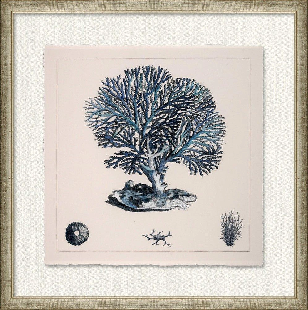 Blue Coral Wall Art