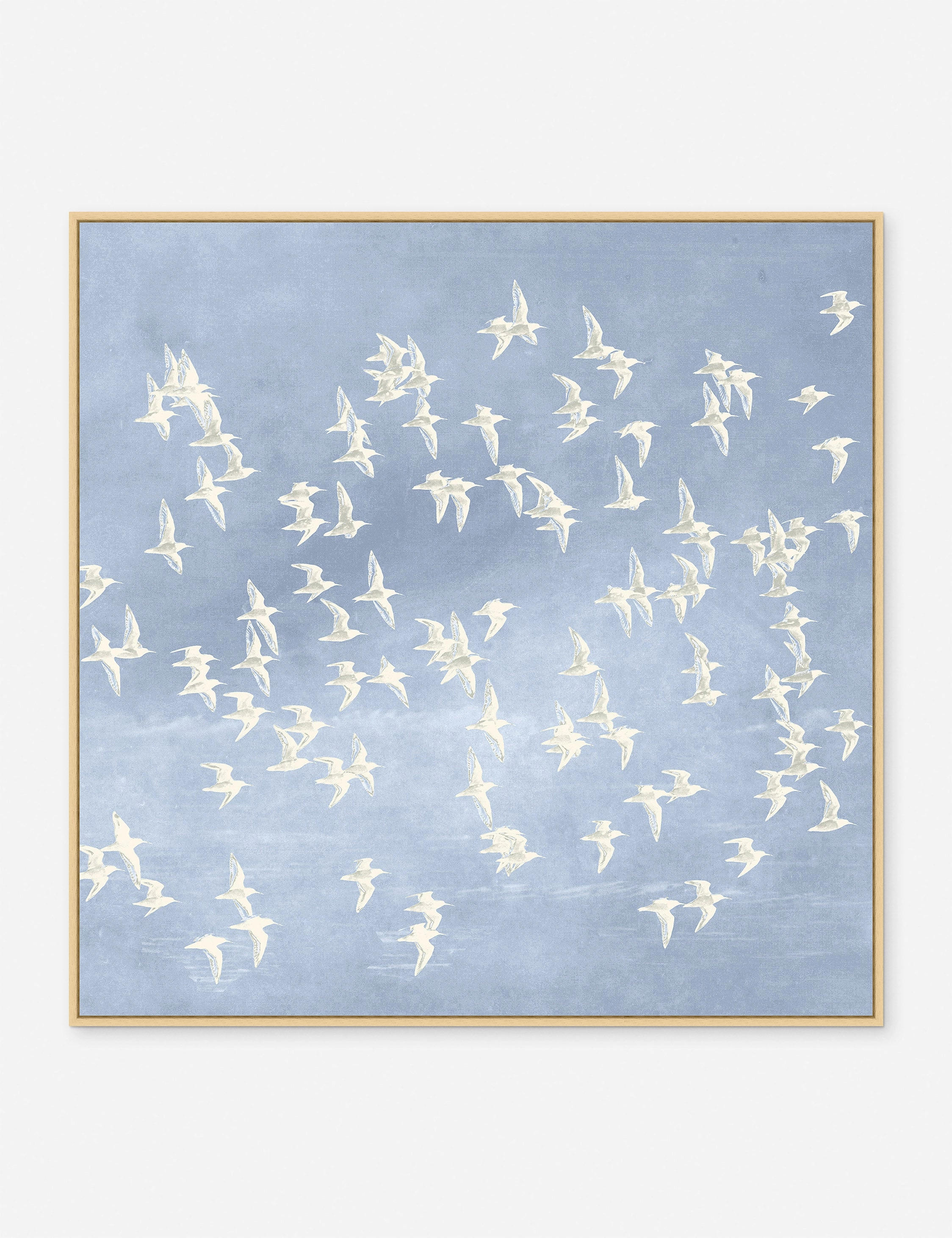 Blue Day Flight 1 Print 