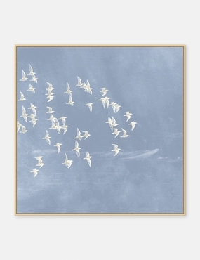 Blue Day Flight 2 Print 