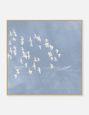 Blue Day Flight 2 Print 