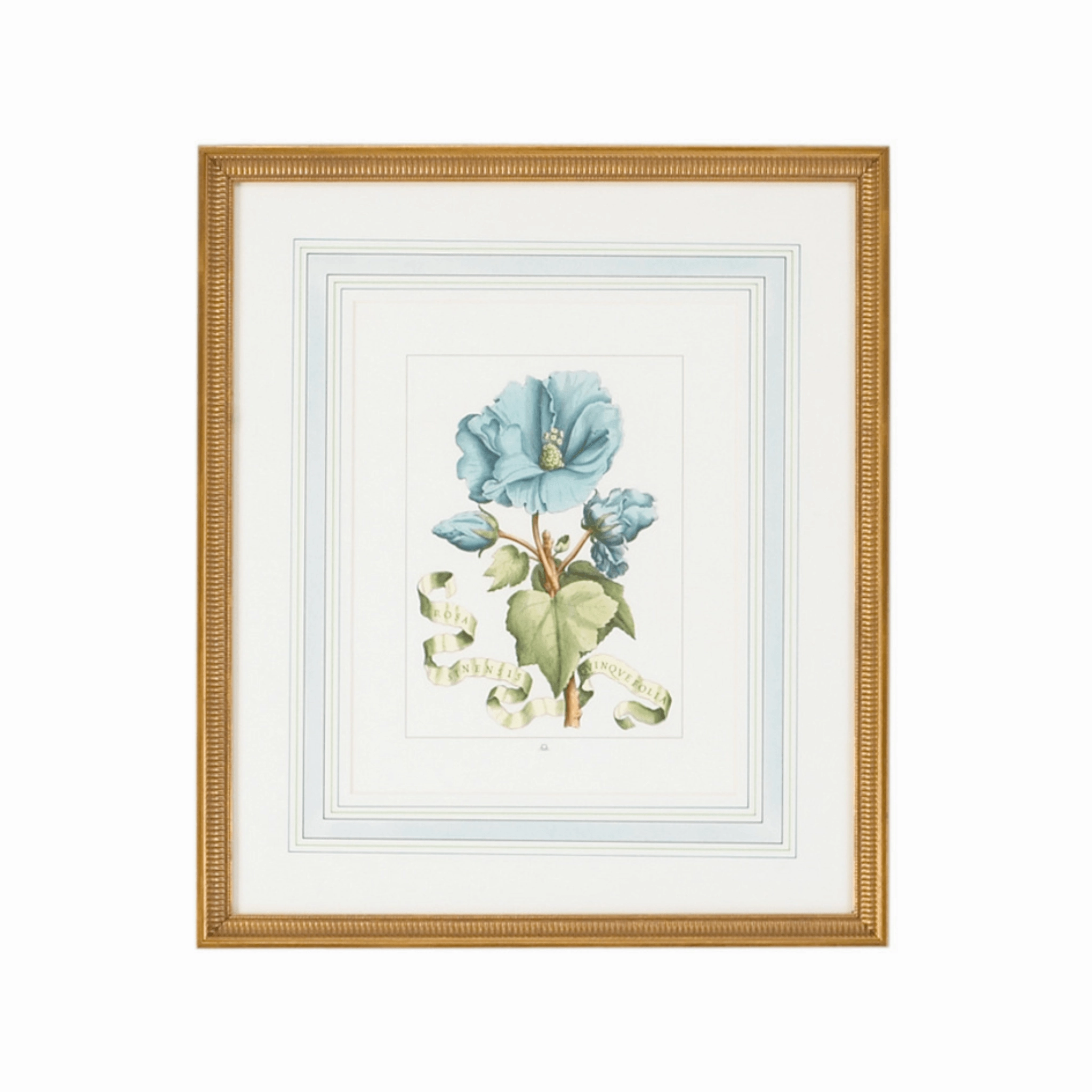 Blue Flowers with Ribbon Artwork in Gold Frame I 
