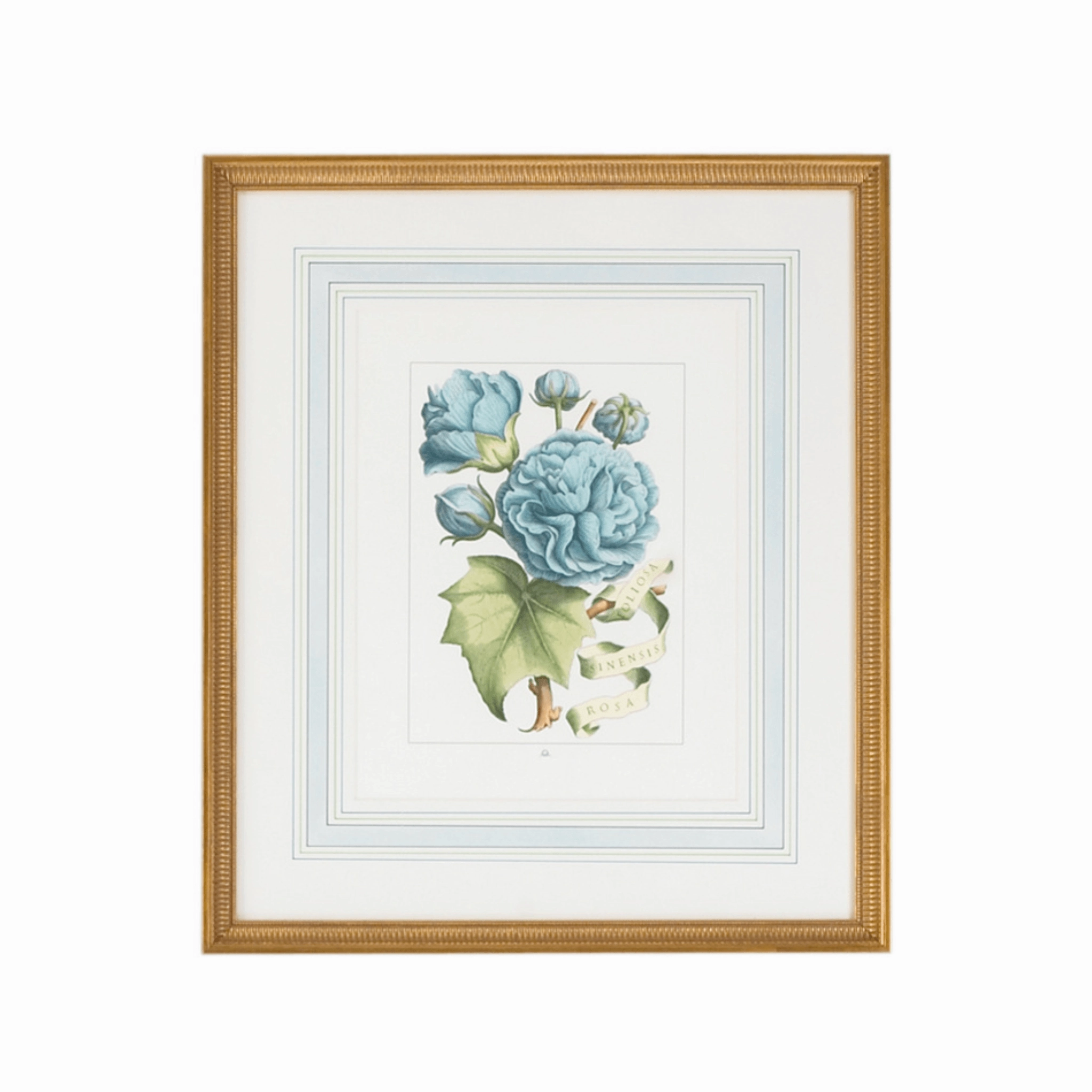 Blue Flowers with Ribbon Artwork in Gold Frame II 