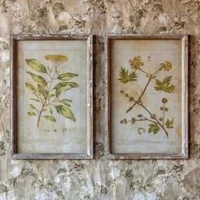 Botanical Print Set 