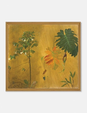 Botanical Study, Jamaica Print by Frederic Edwin Church 