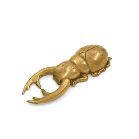 Bottle Opener Atlas Beetle 