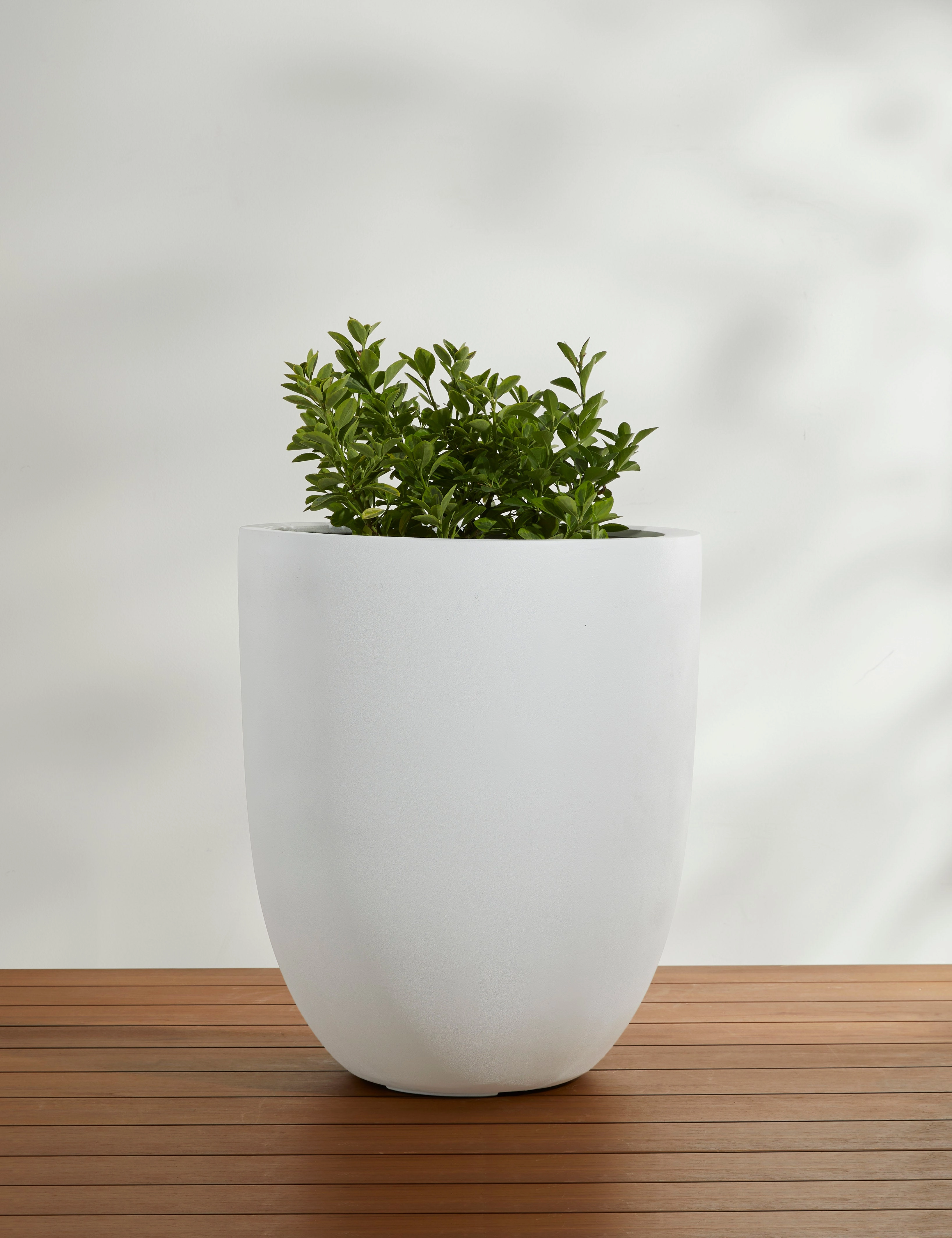 Bradford Planters by Campania International