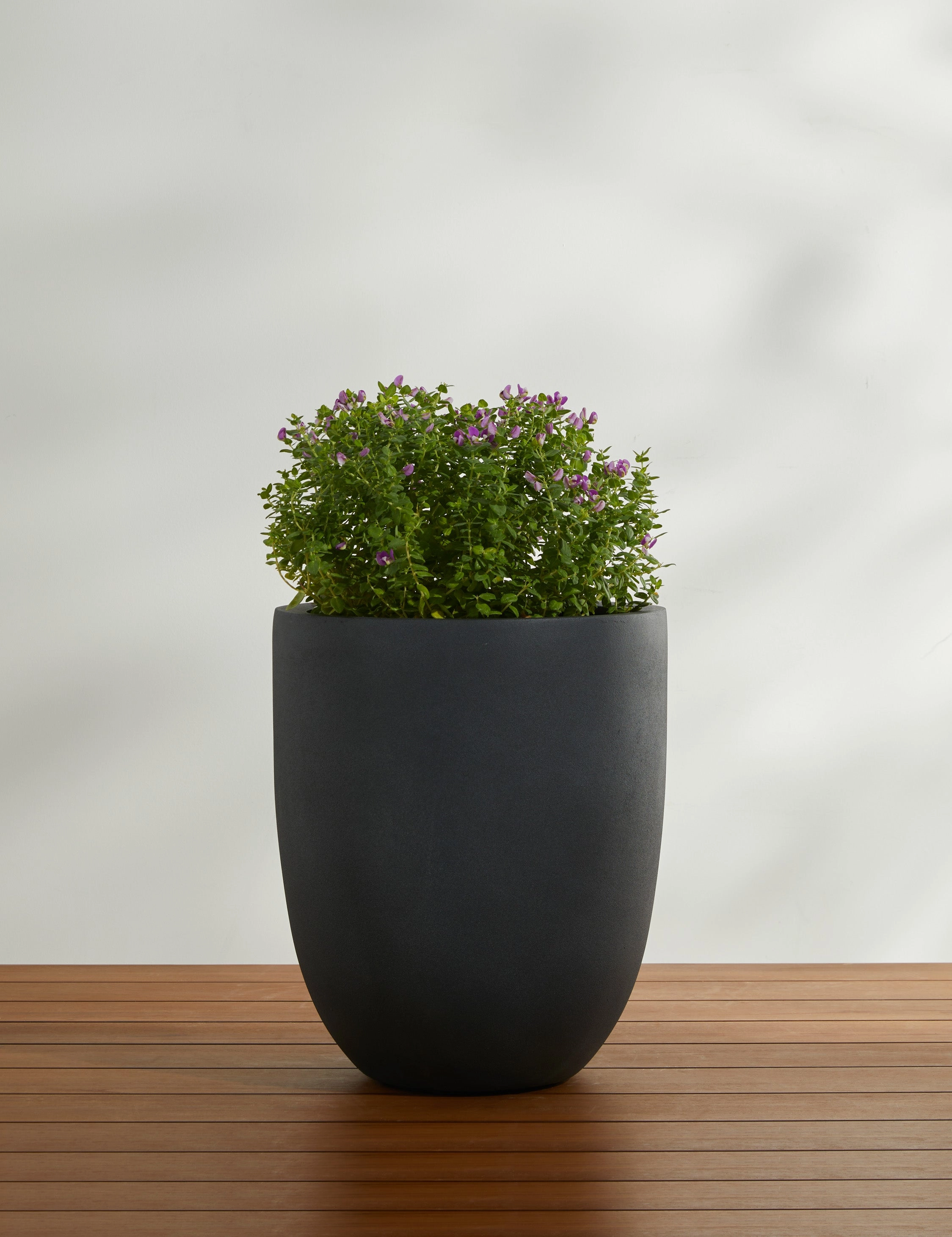 Bradford Planters by Campania International