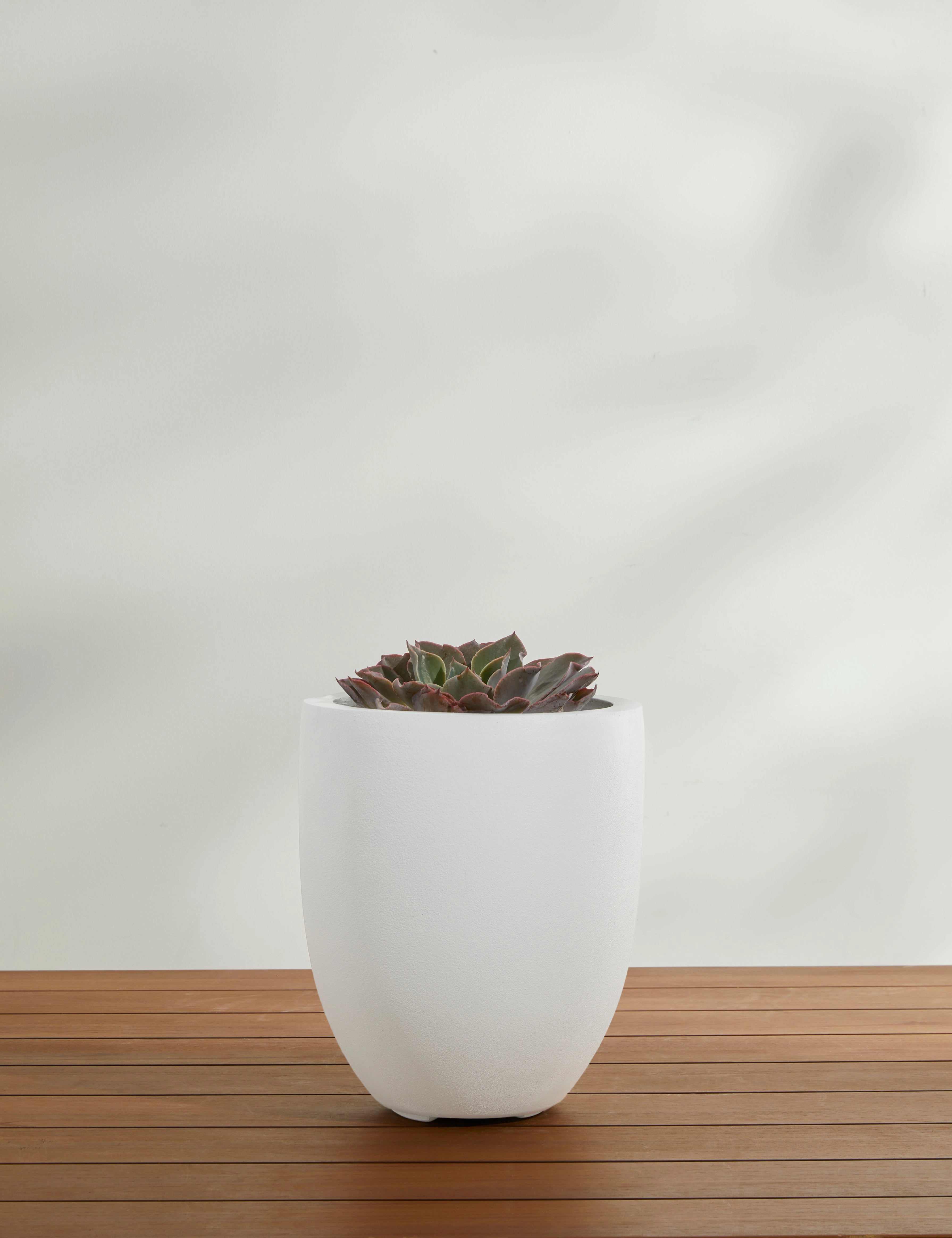 Bradford Planters by Campania International