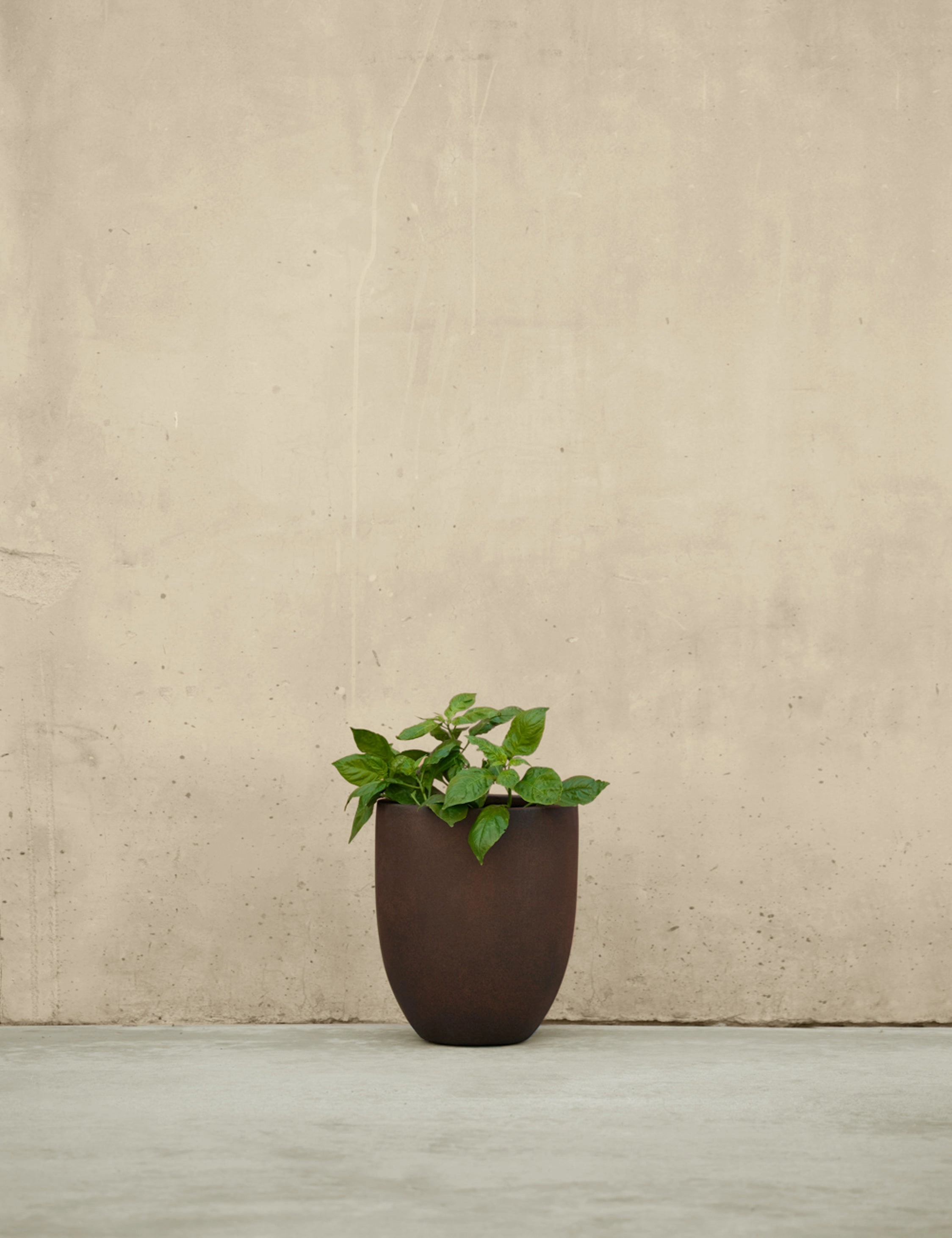Bradford Planters by Campania International