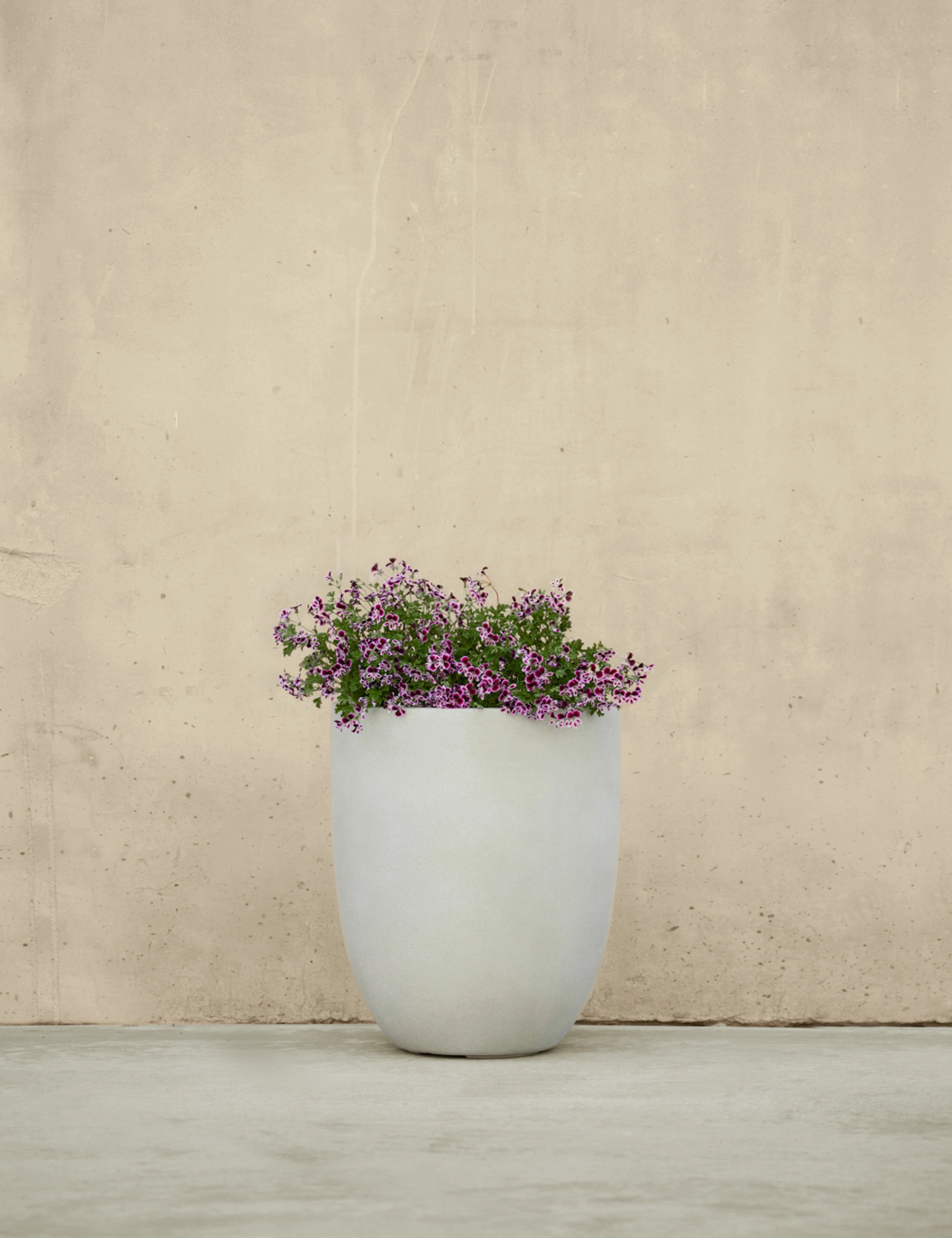 Bradford Planters by Campania International