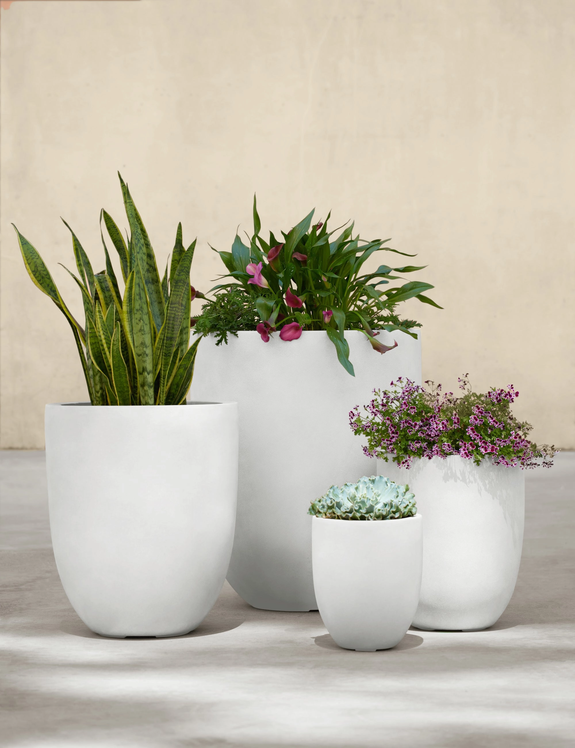 Bradford Planters by Campania International