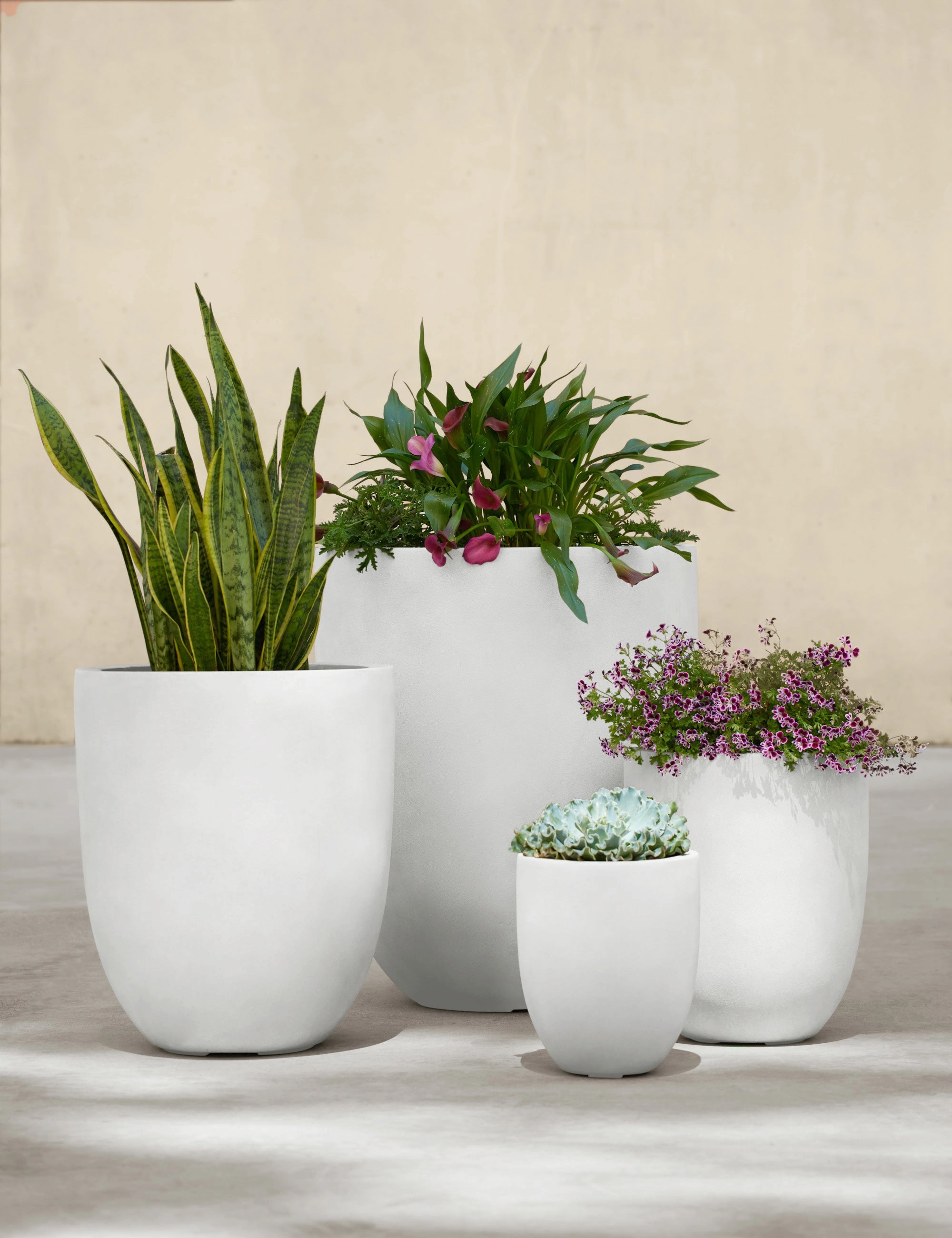 Bradford Planters by Campania International