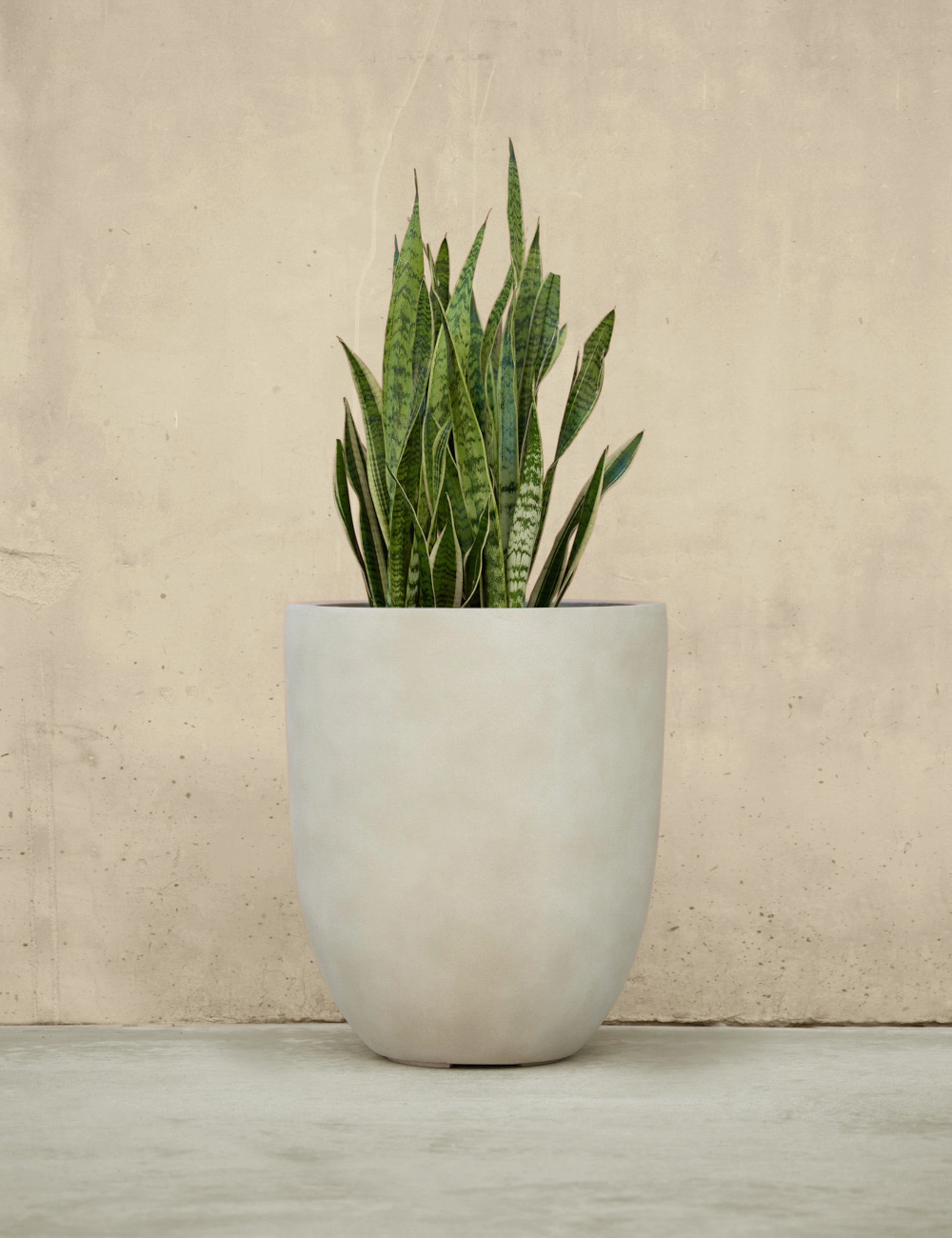 Bradford Planters by Campania International