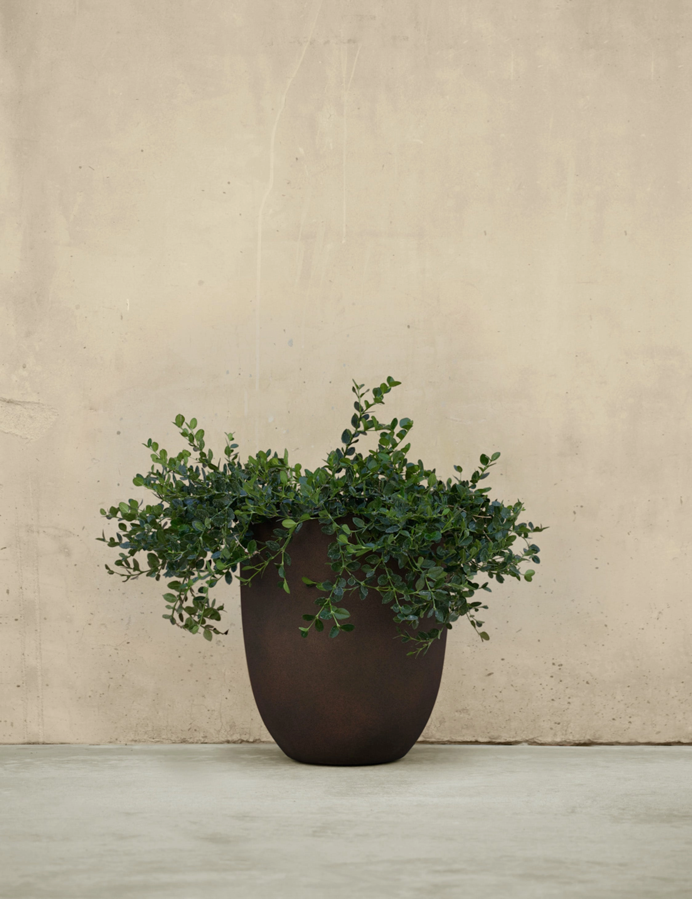 Bradford Planters by Campania International
