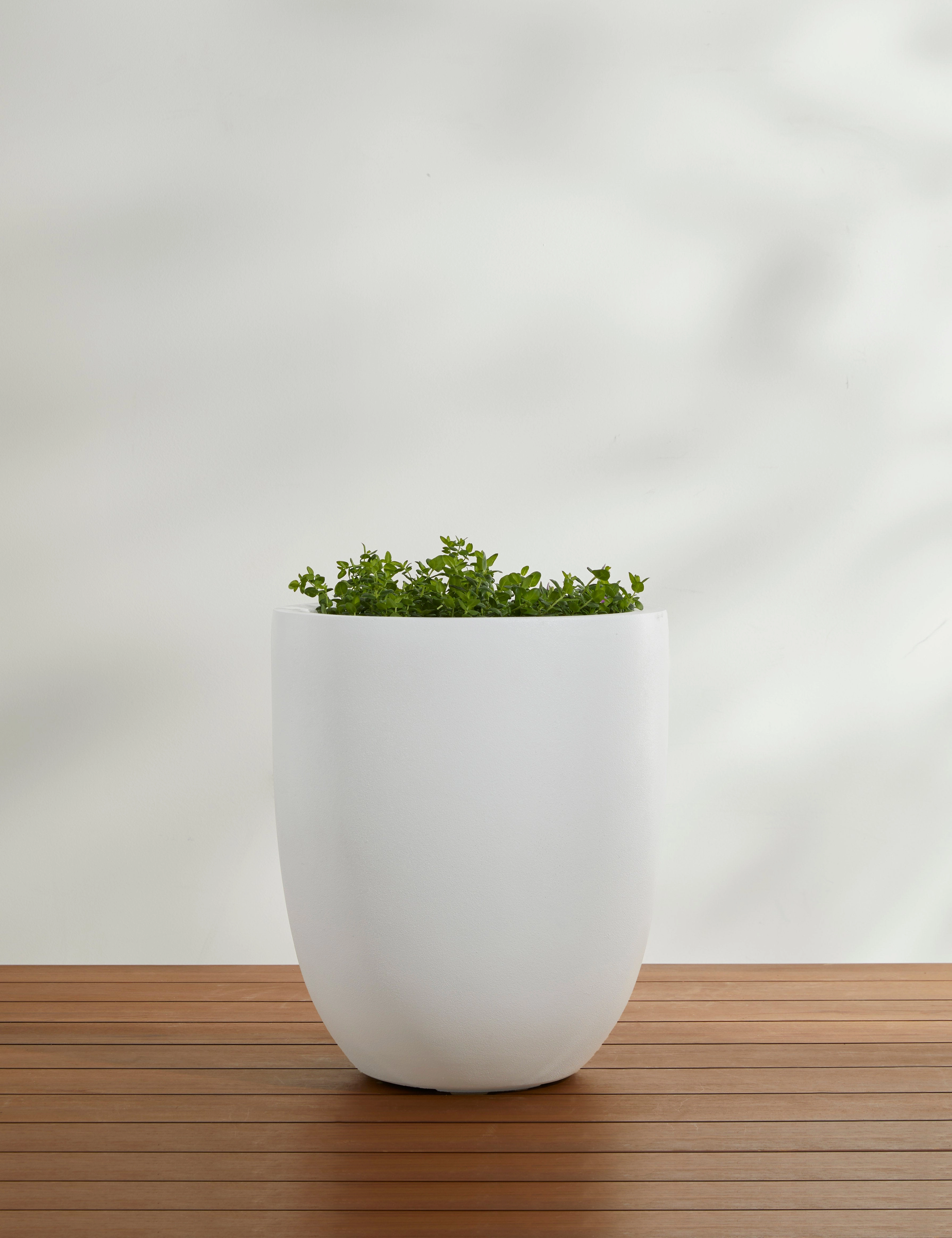 Bradford Planters by Campania International