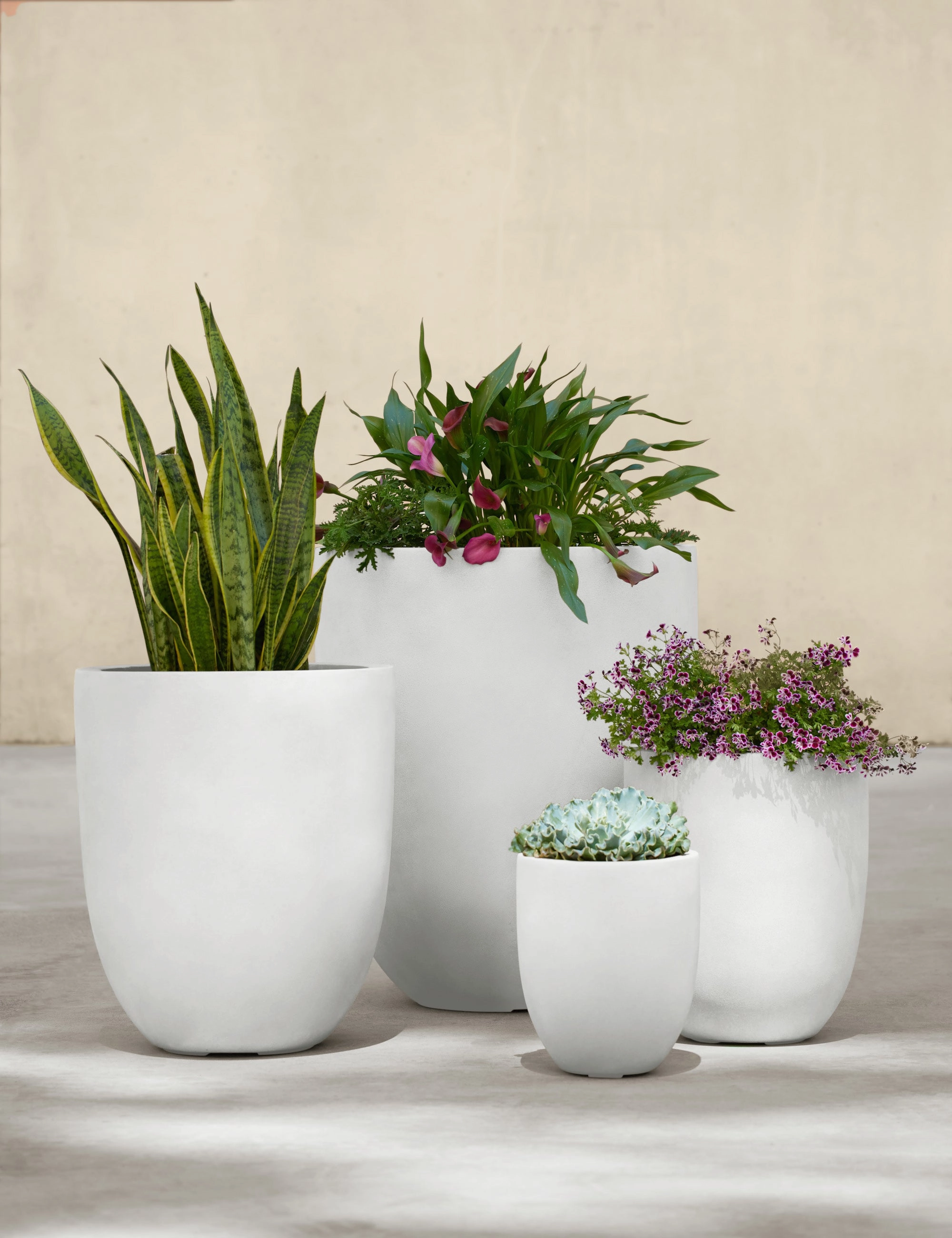 Bradford Planters by Campania International