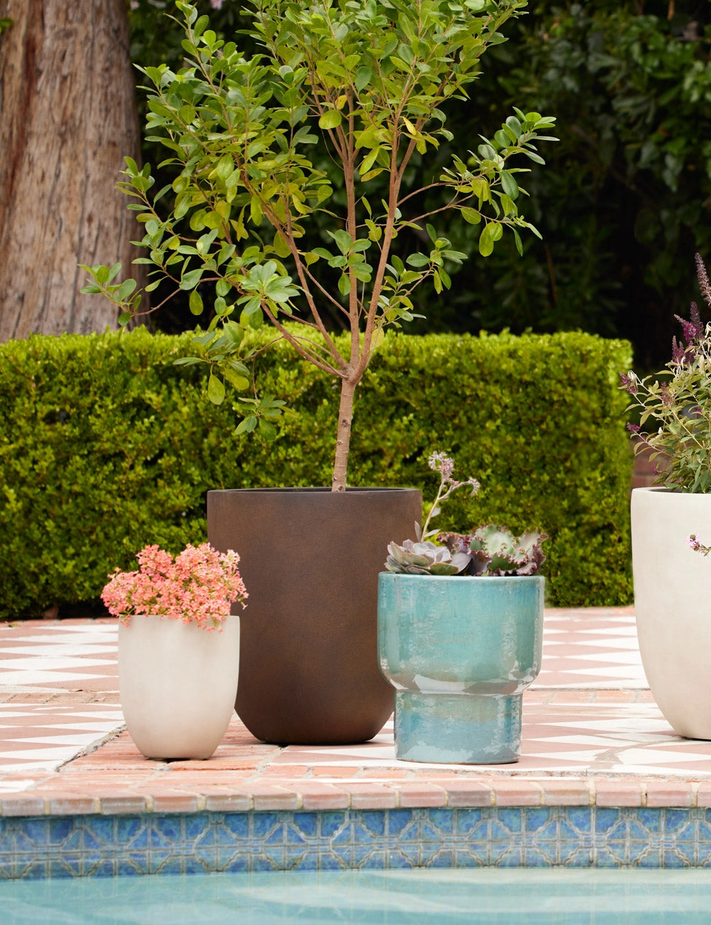 Bradford Planters by Campania International