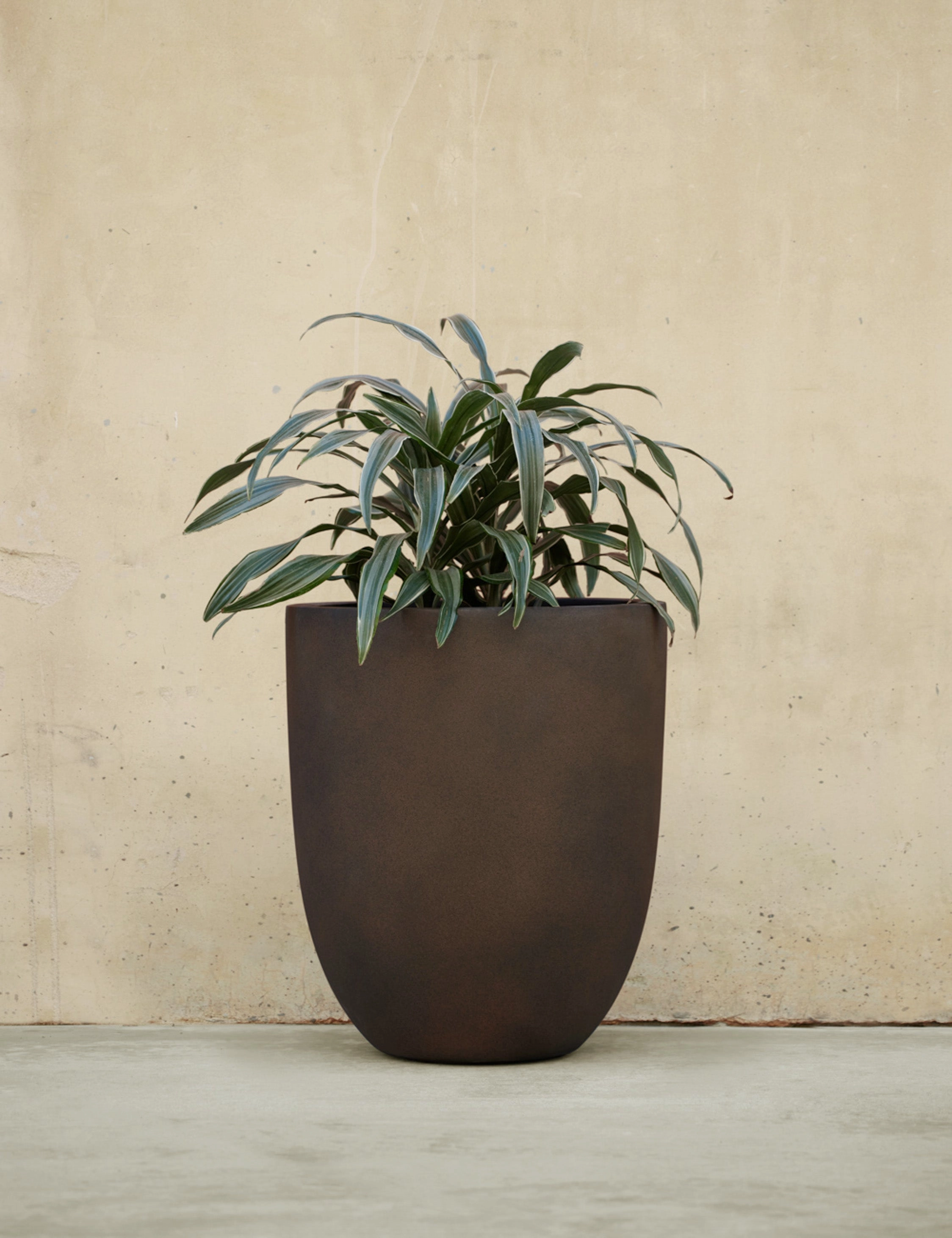 Bradford Planters by Campania International
