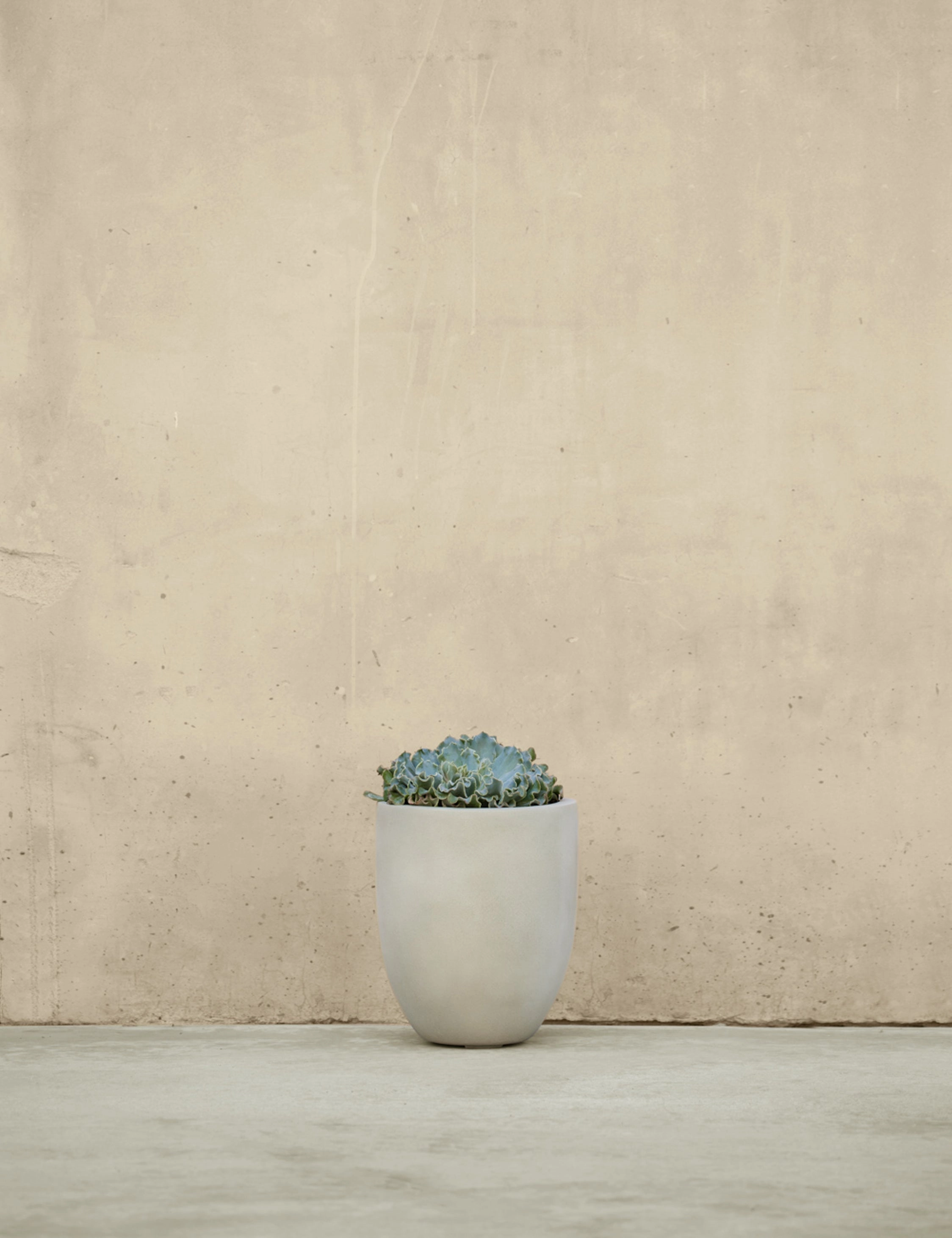 Bradford Planters by Campania International
