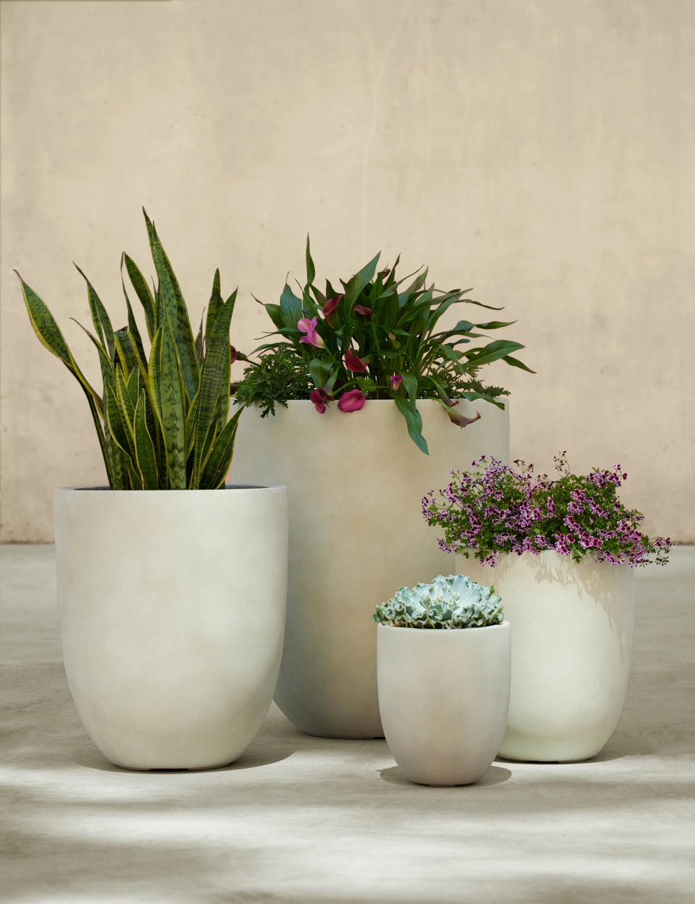 Bradford Planters by Campania International