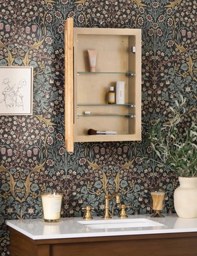 Brannic Medicine Cabinet 