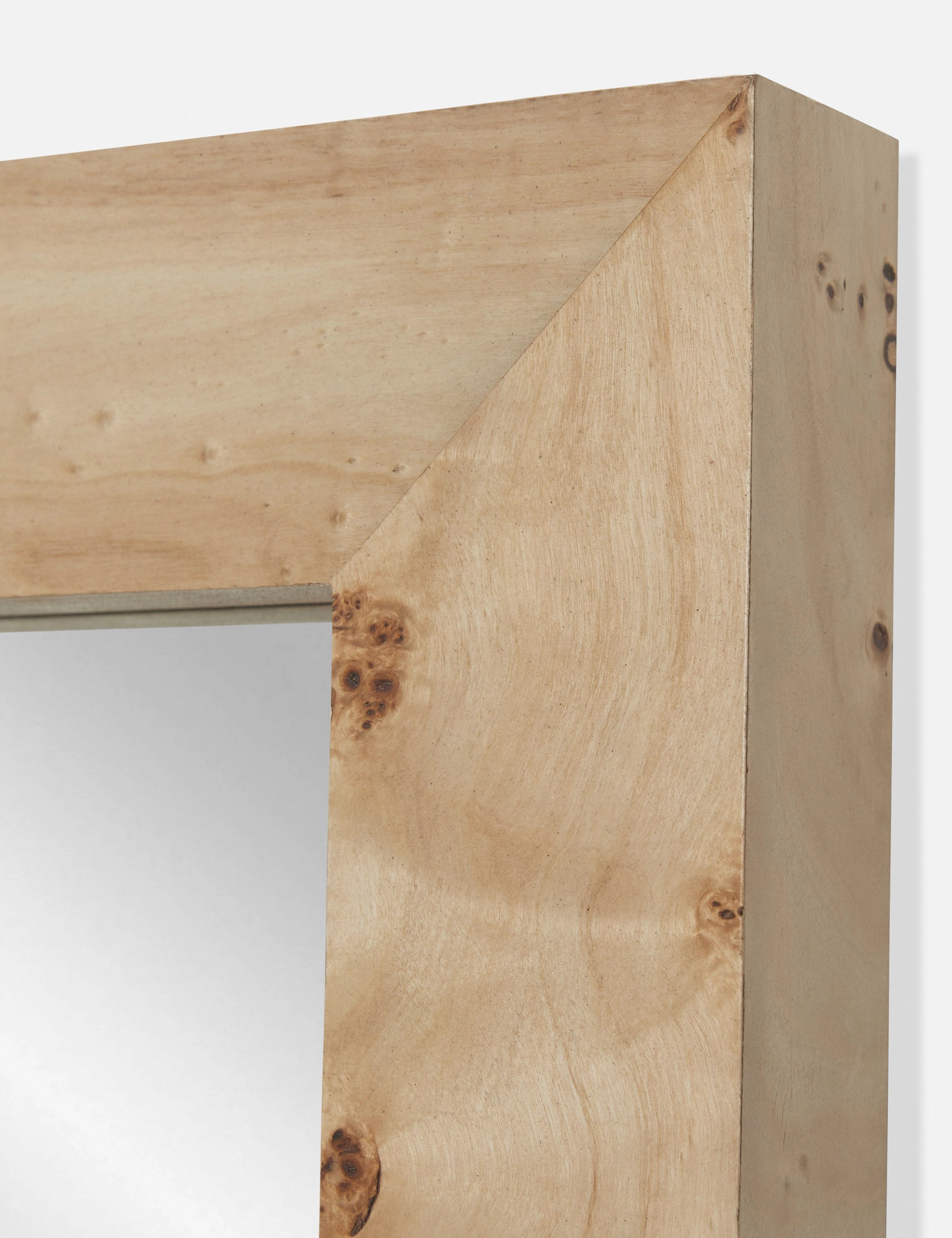 Bree Burl Wood Floor Mirror