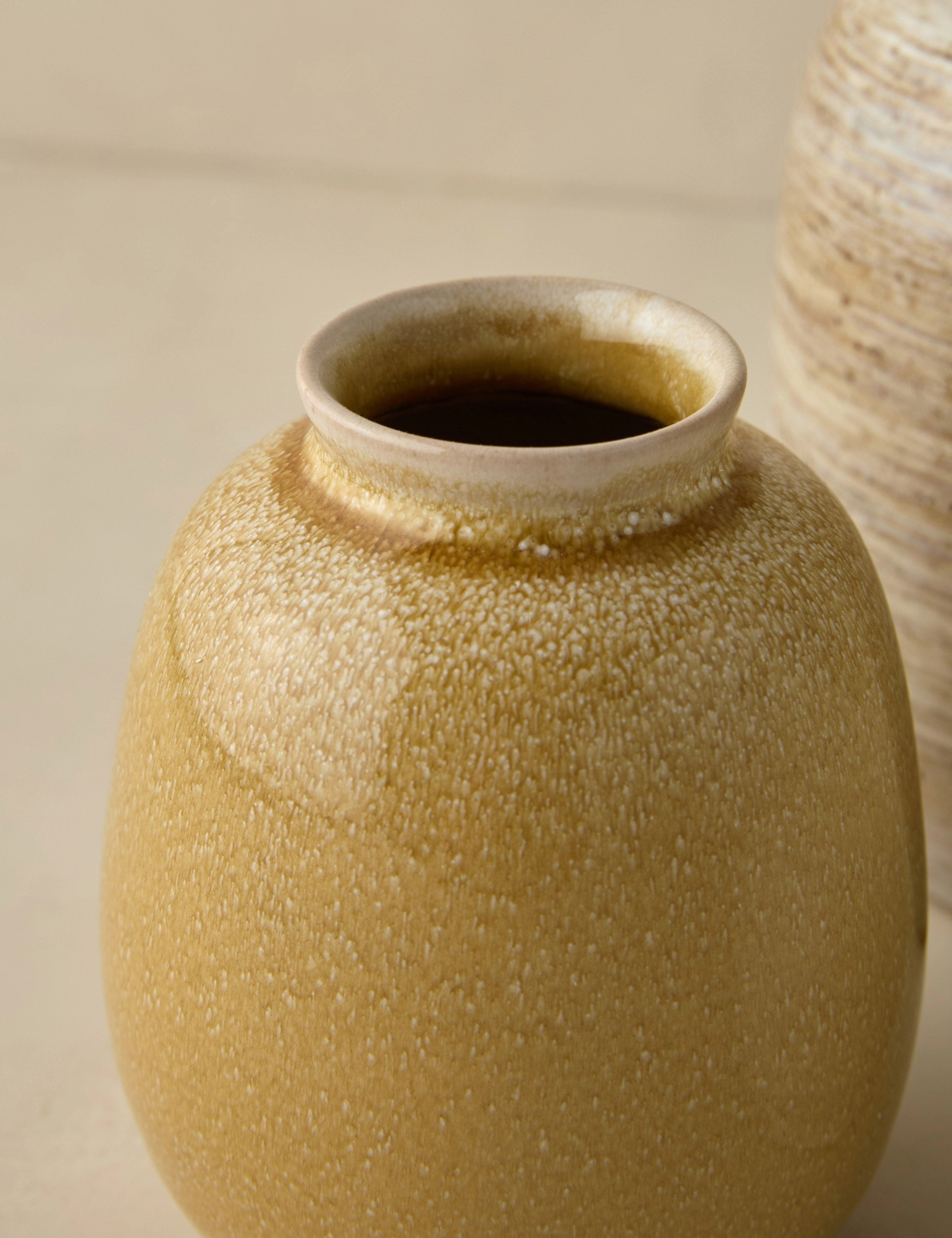 Bryony Vases (Set of 3)