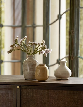 Bryony Vases (Set of 3) 