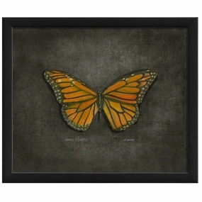 Butterfly Art Print 