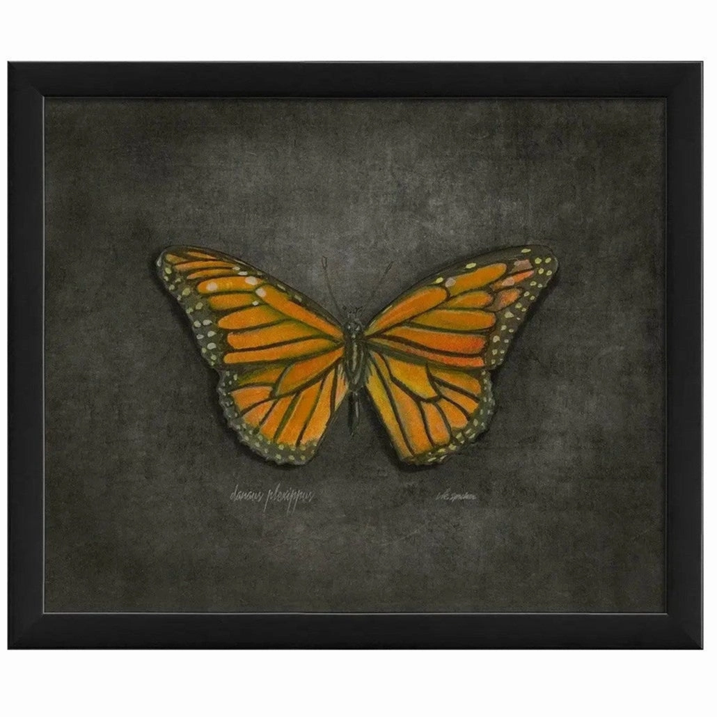 Butterfly Art Print 