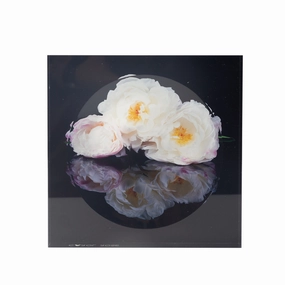 Candy Bowl - White Flower Reflection 