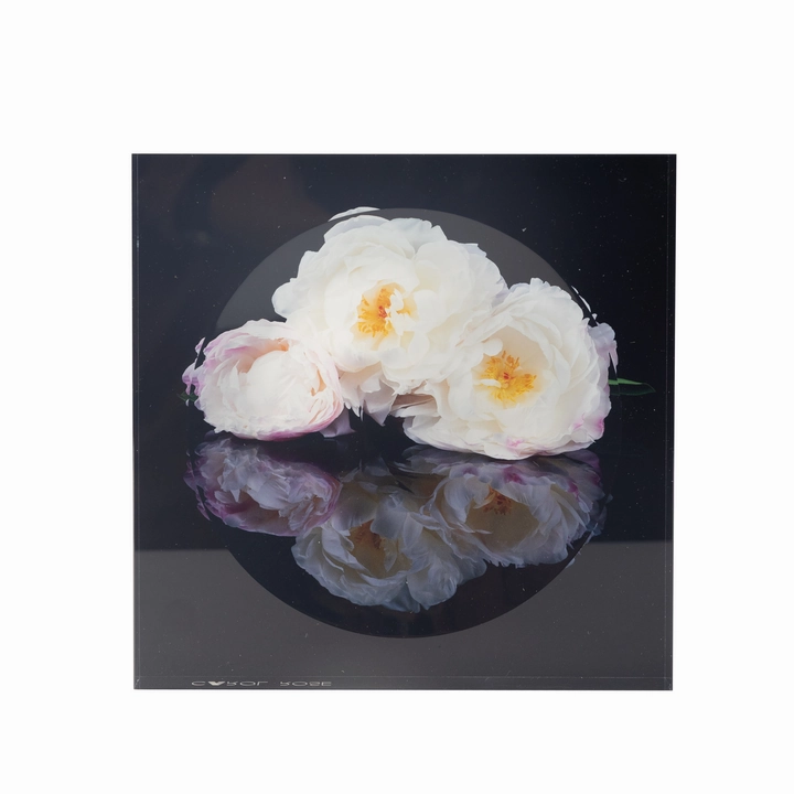 Candy Bowl - White Flower Reflection 