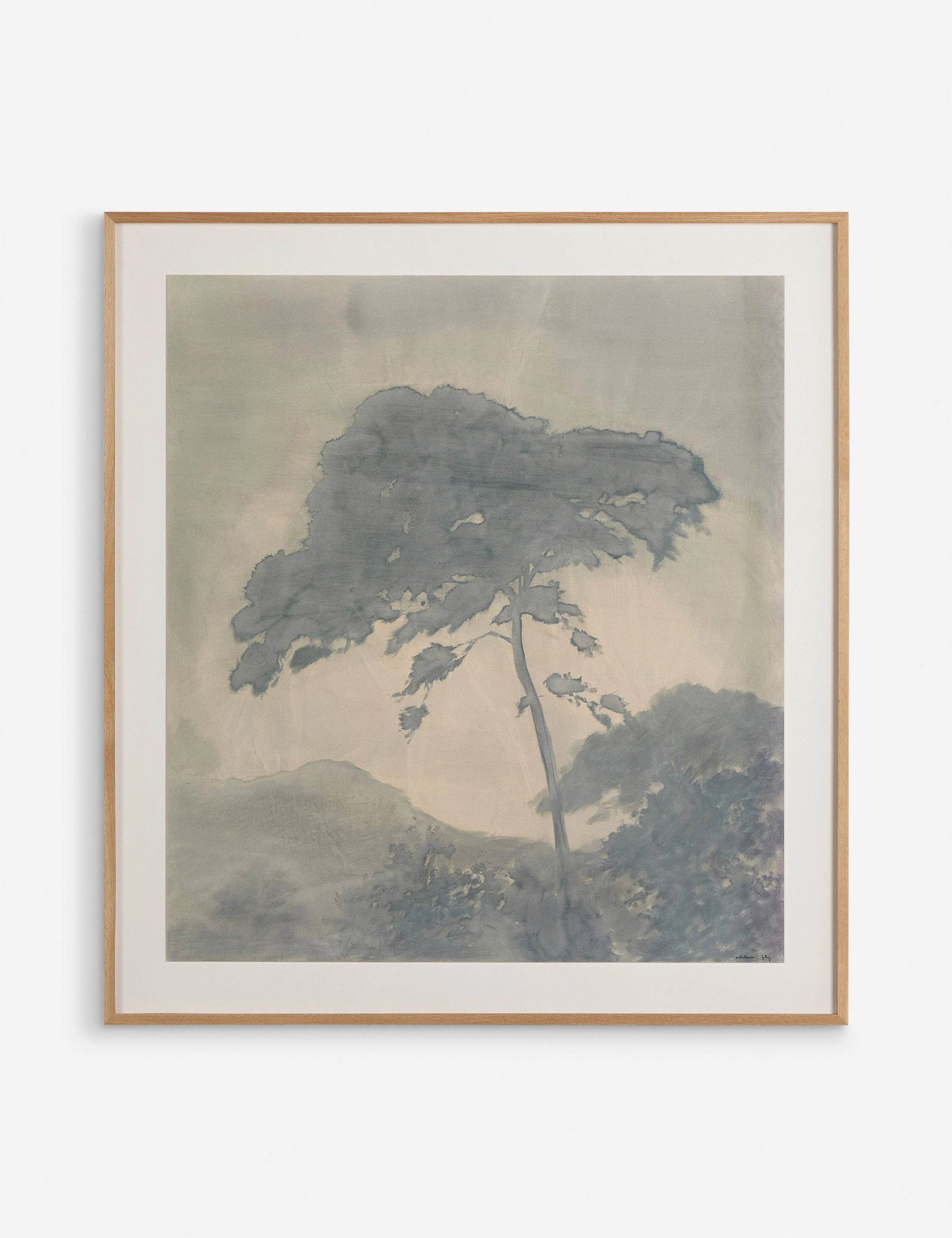 Canopy by Chelsea Fly