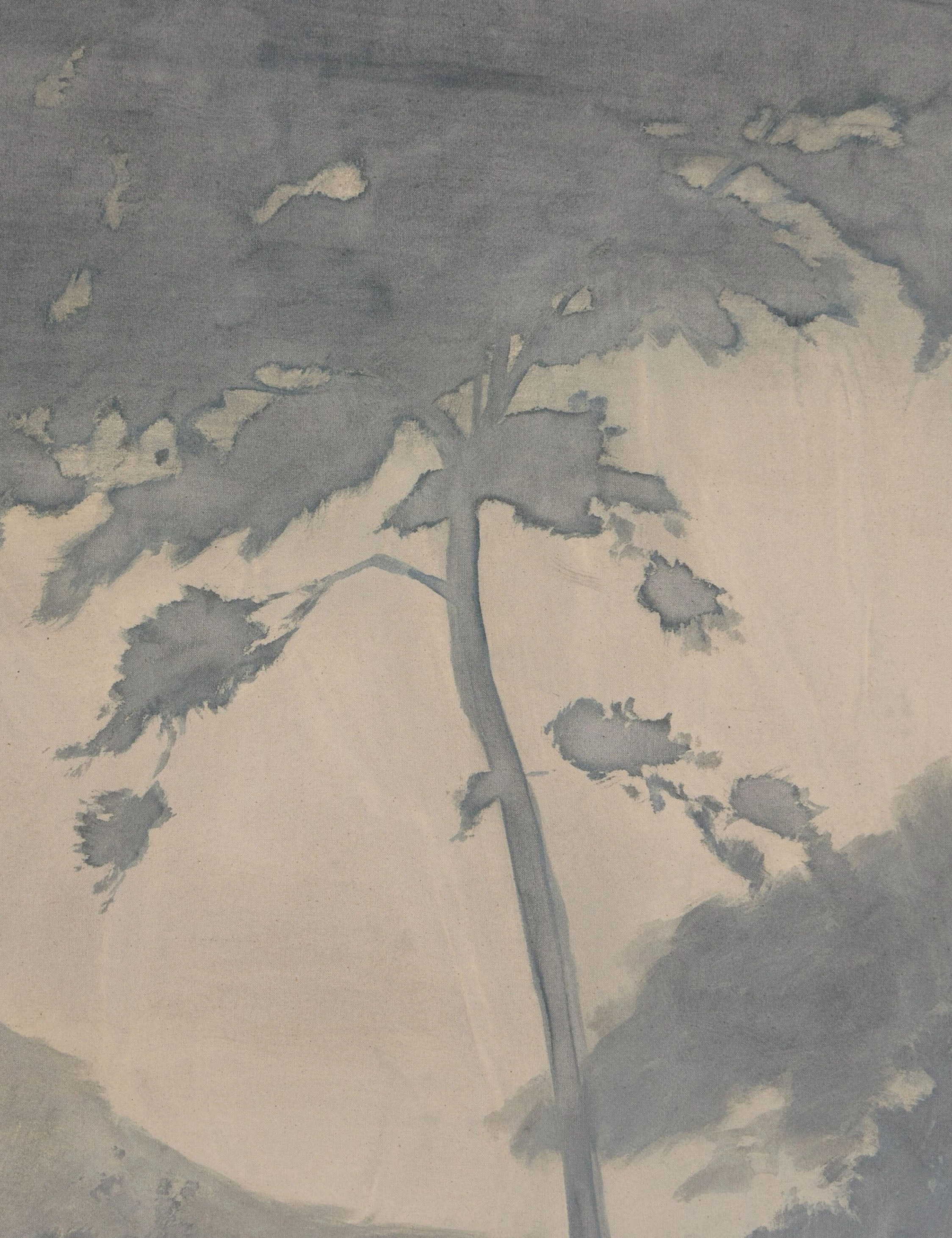Canopy by Chelsea Fly