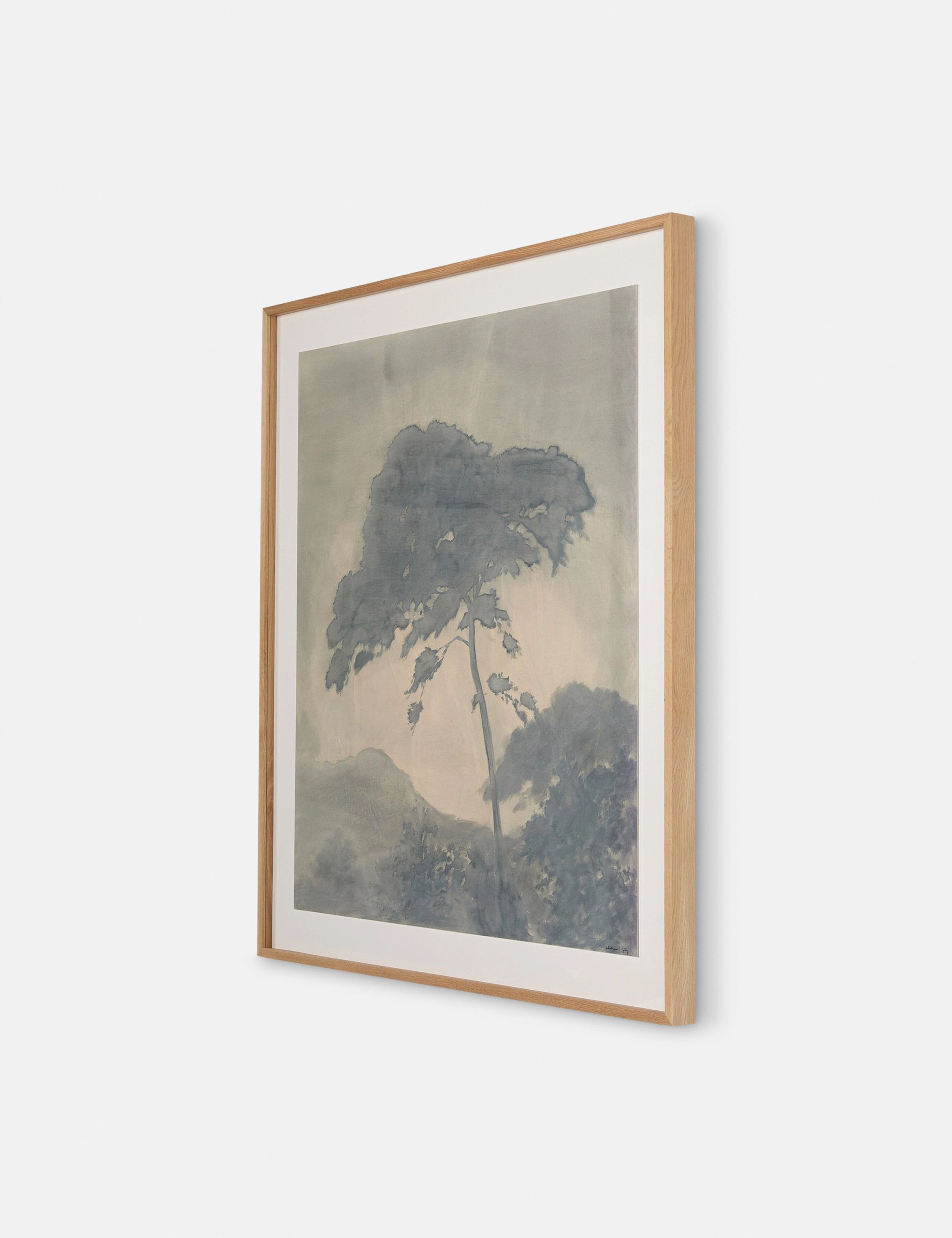 Canopy by Chelsea Fly