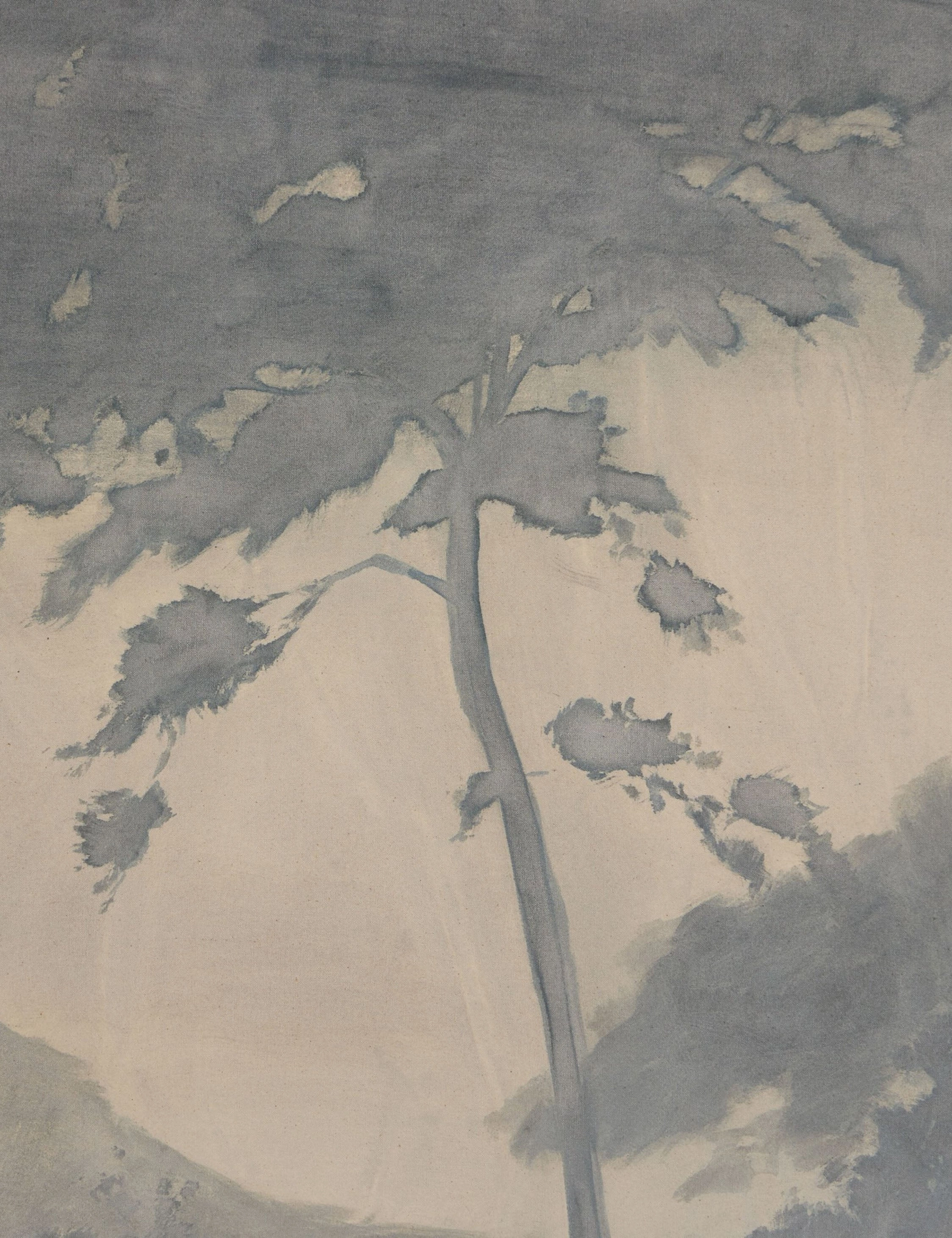 Canopy by Chelsea Fly