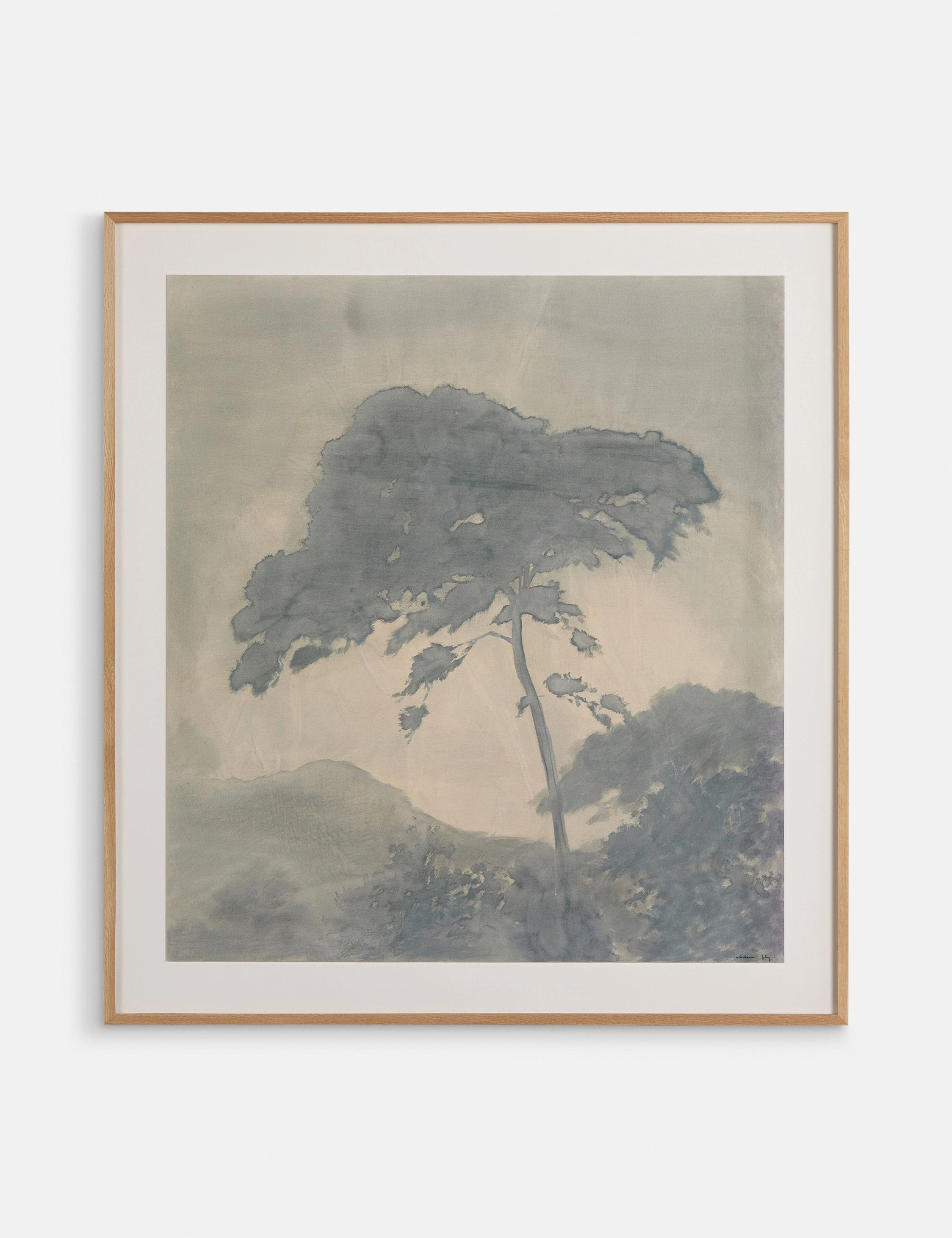 Canopy by Chelsea Fly
