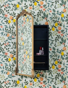 Casserly Medicine Cabinet 