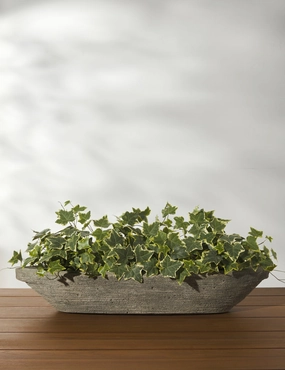 Cast Stone Tabletop Planters by Campania International 