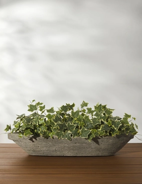 Cast Stone Tabletop Planters by Campania International 