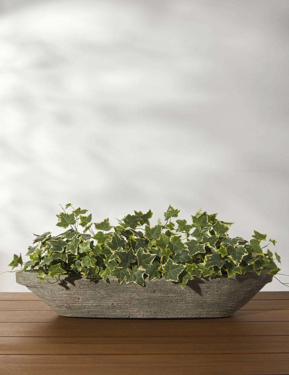 Cast Stone Tabletop Planters by Campania International 
