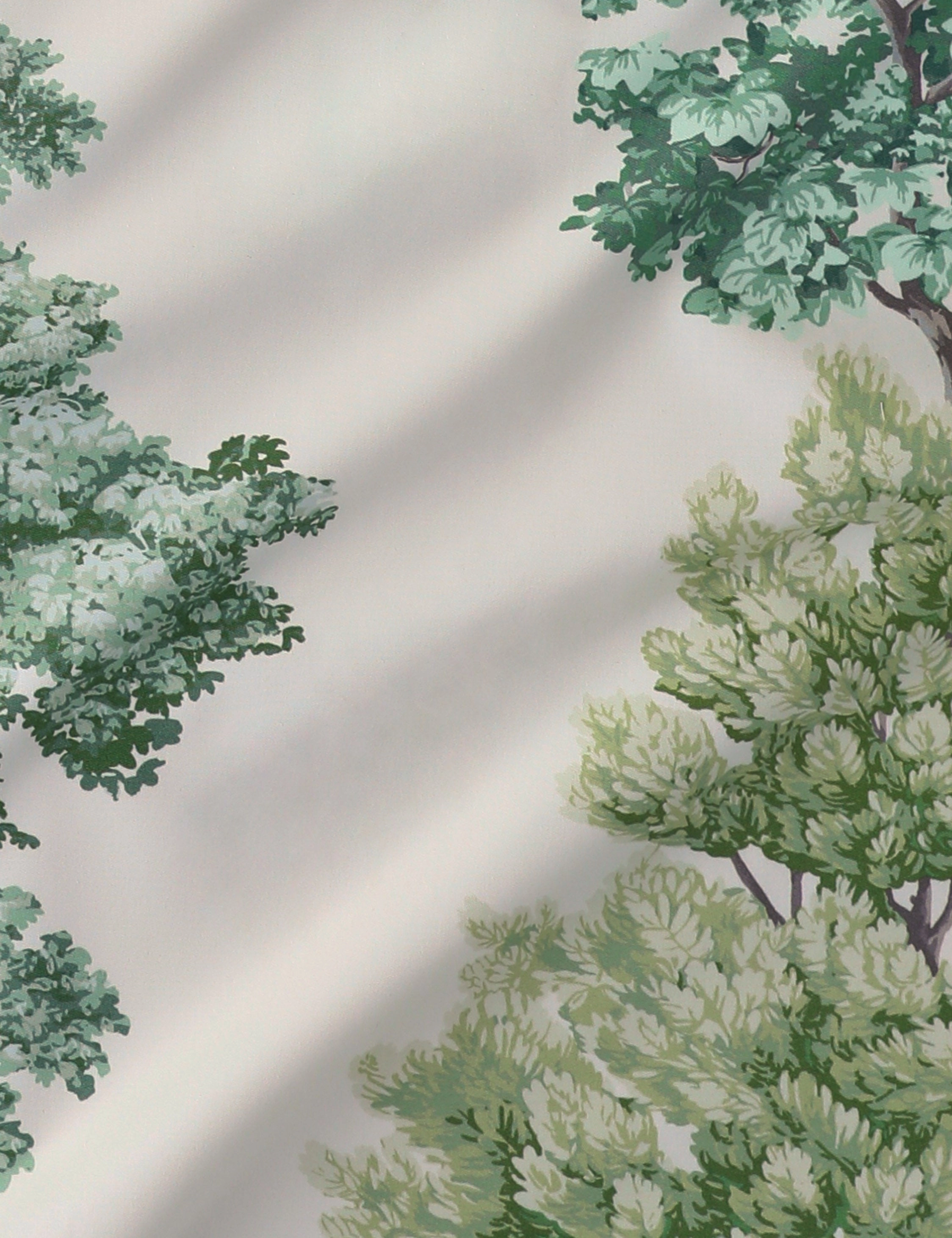 Central Park Cotton Fabric by Scalamandr