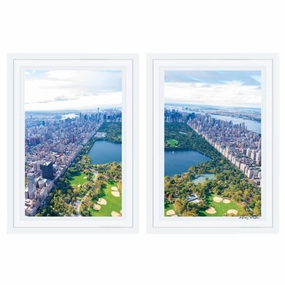 Central Park Diptych Print by Gray Malin 