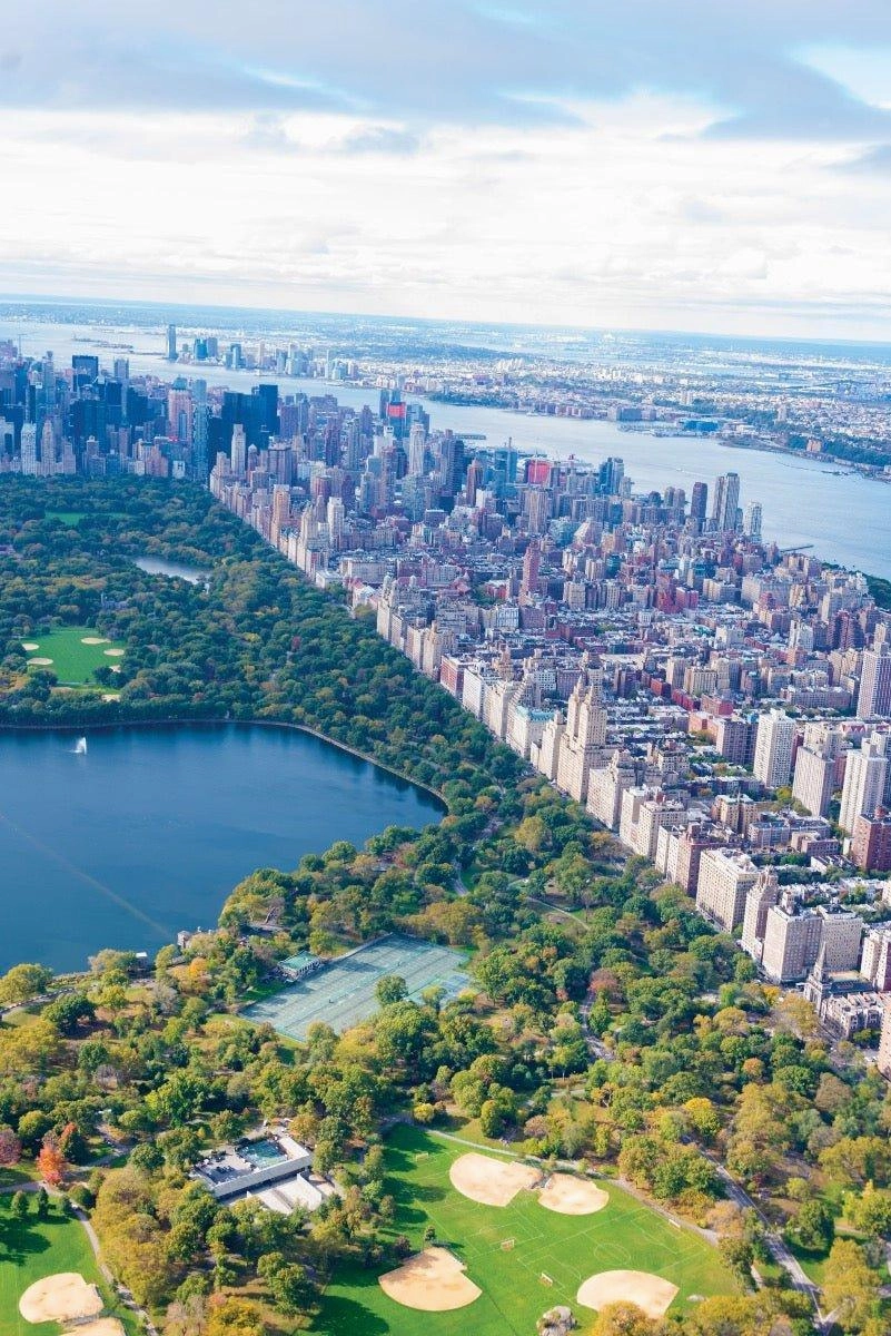 Central Park Diptych Print by Gray Malin