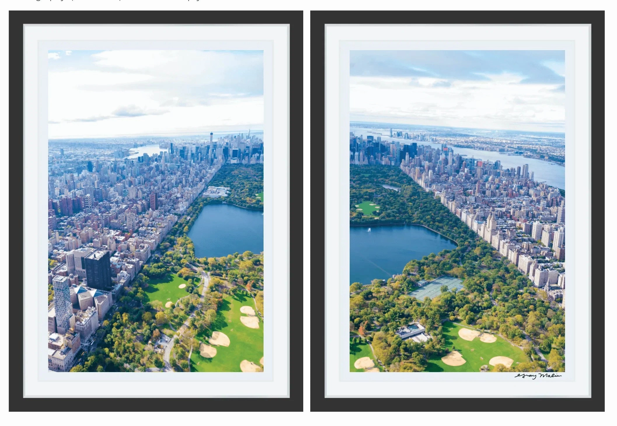 Central Park Diptych Print by Gray Malin