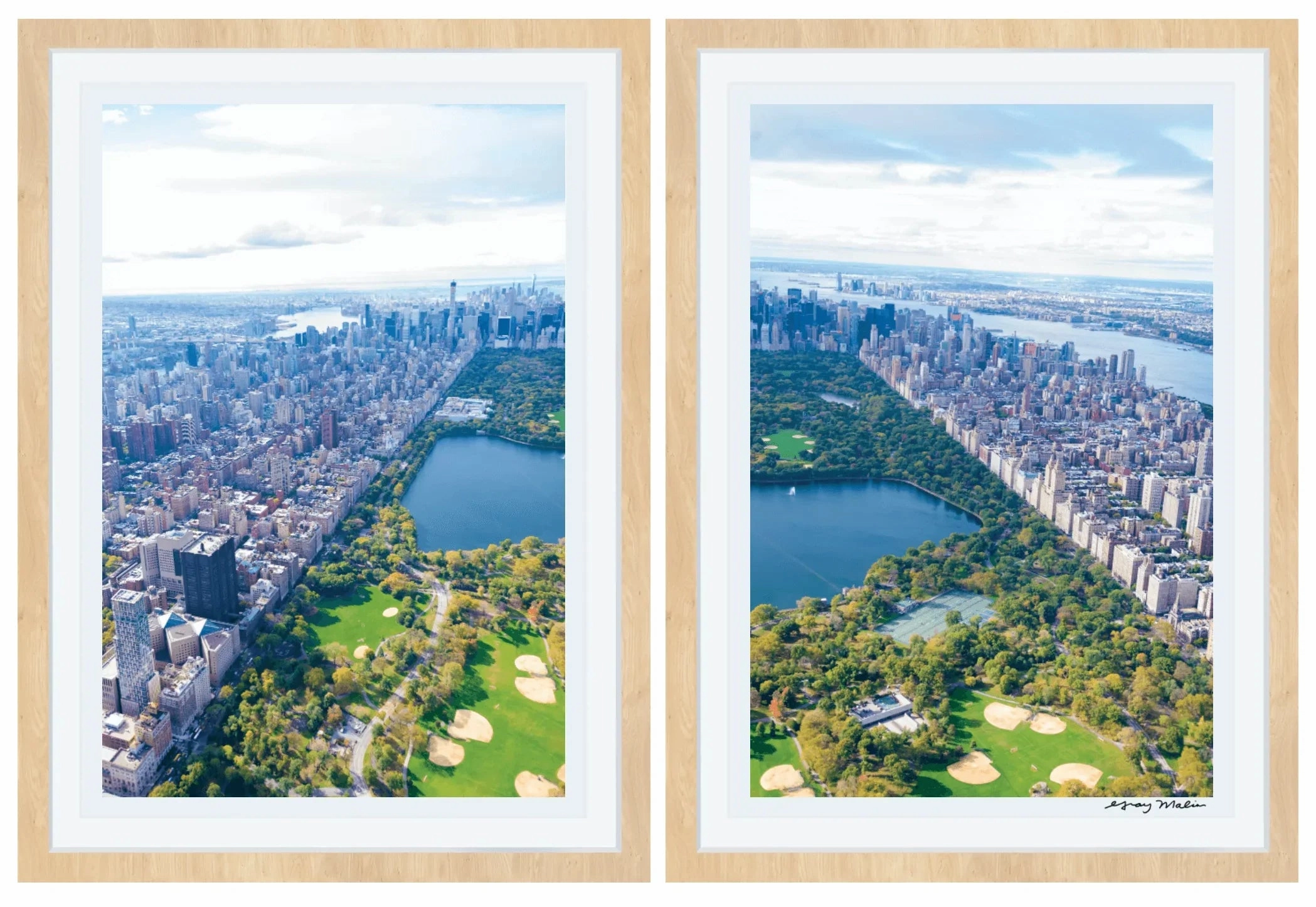 Central Park Diptych Print by Gray Malin
