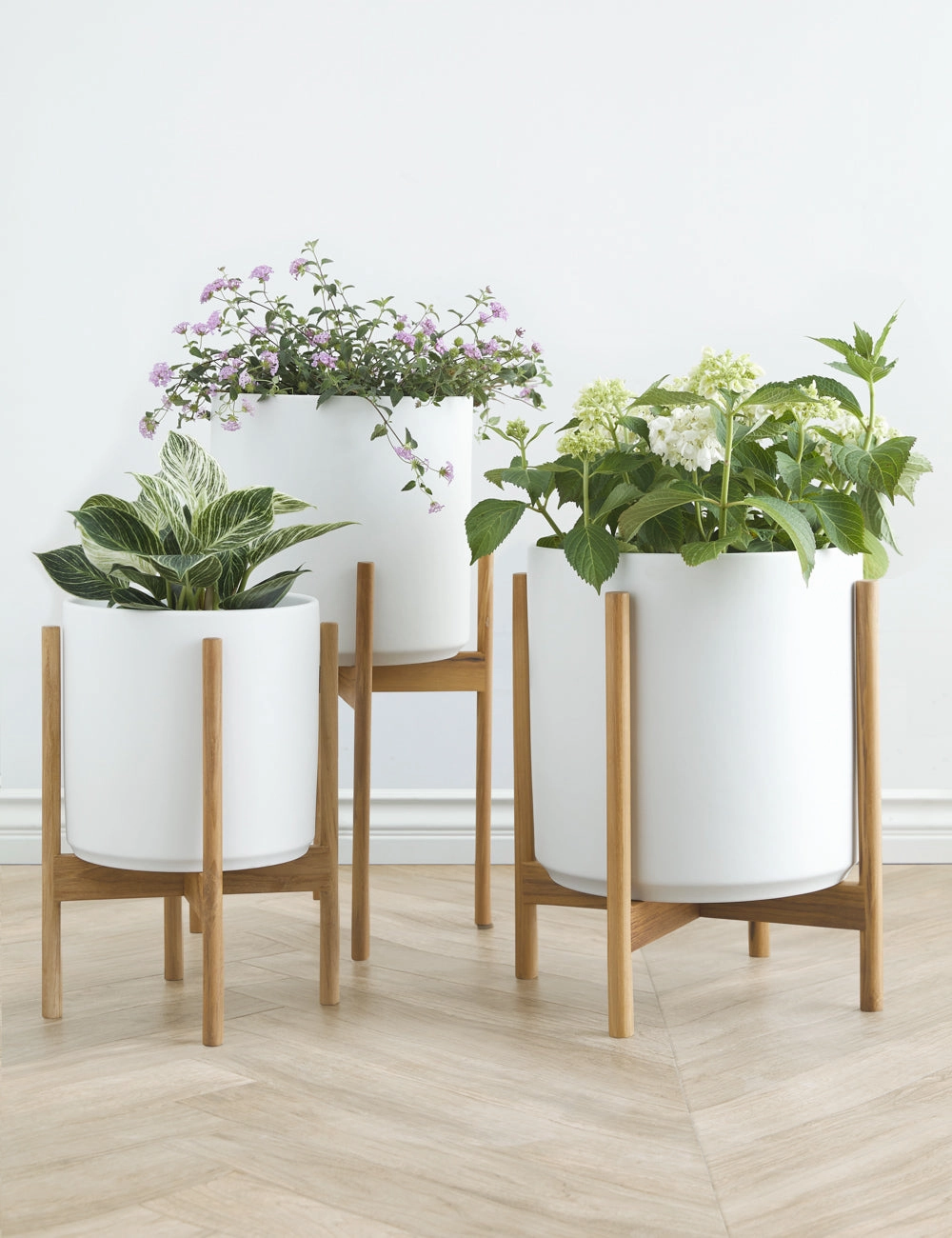Ceramic Planter Pot   Teak Stand by LBE Design