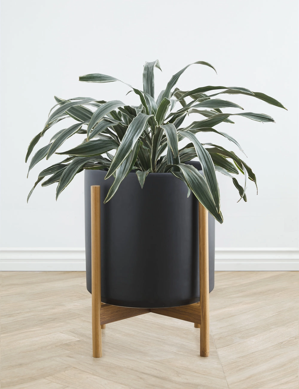 Ceramic Planter Pot   Teak Stand by LBE Design