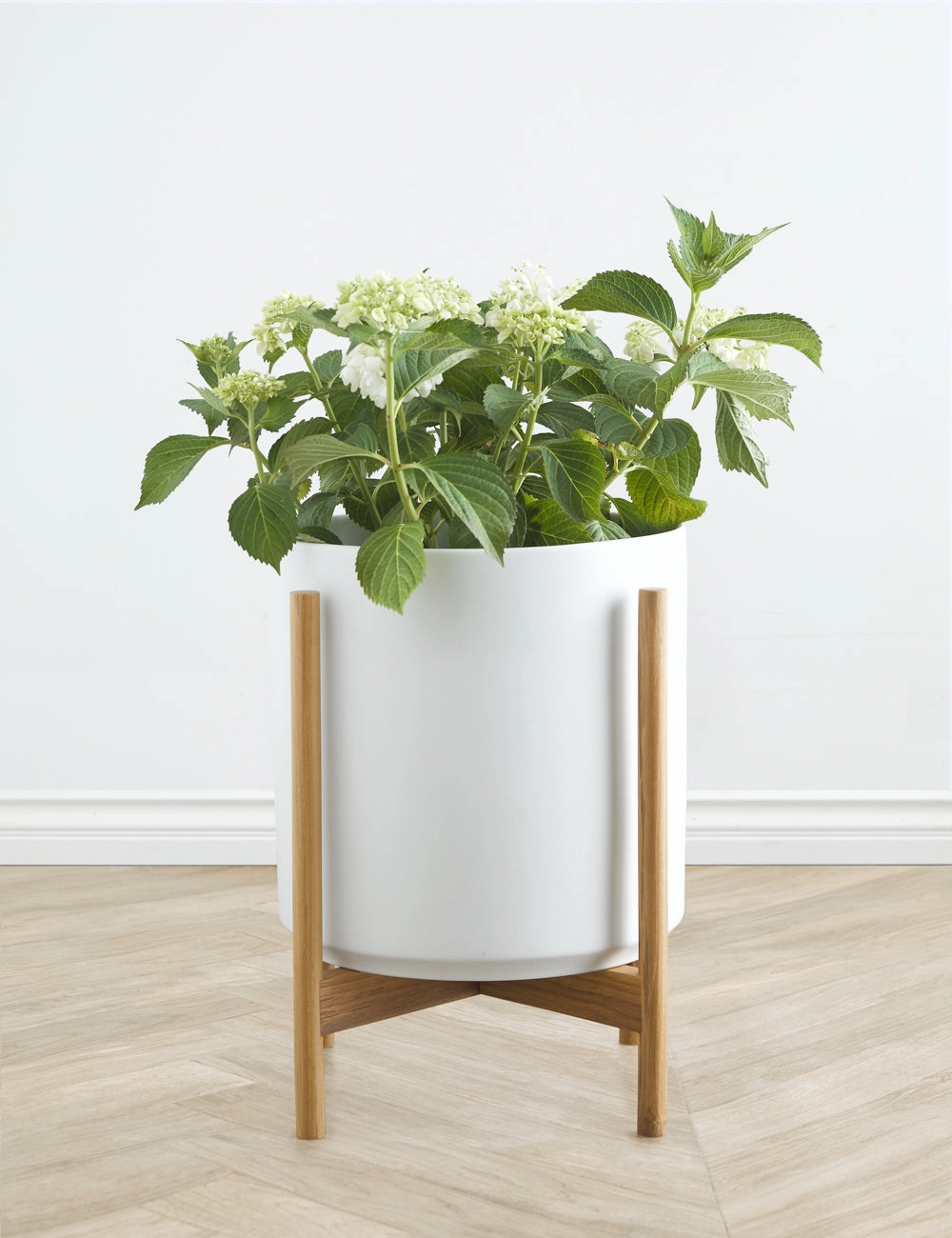 Ceramic Planter Pot   Teak Stand by LBE Design